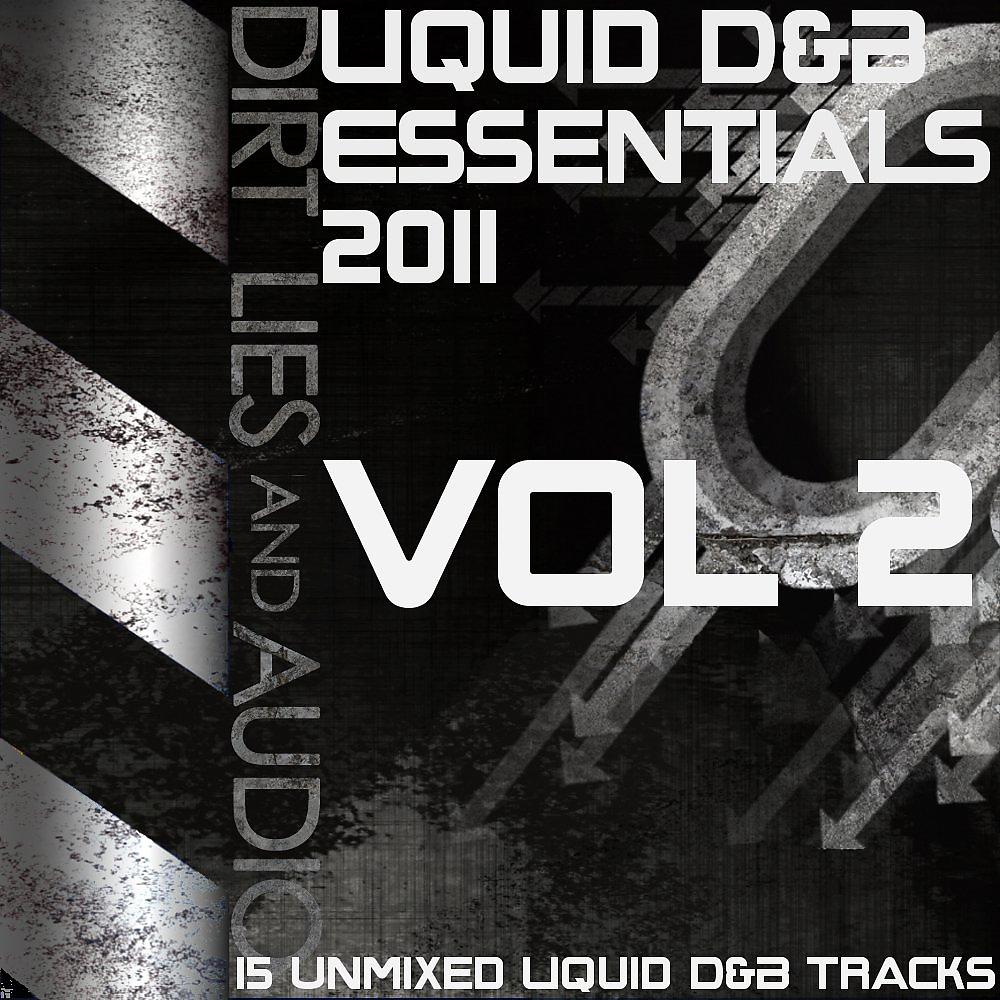 Постер альбома Liquid D&B Essentials 2011 Vol2