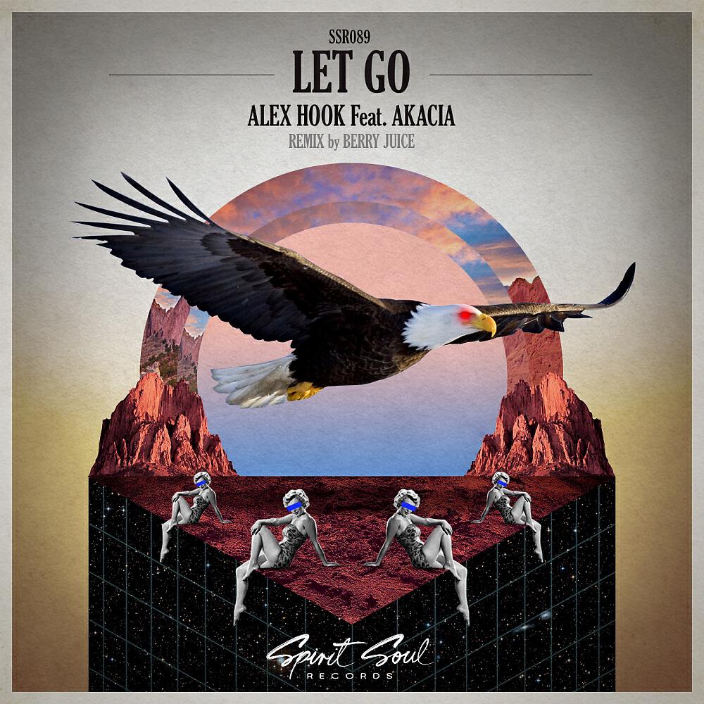 Alex Hook - Let Go (Berry Juice Remix)