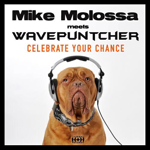 Mike Molossa - Celebrate Your Chance (Mike Molossa Meets Wavepuntcher) (Dave Lamond Electro Mix)