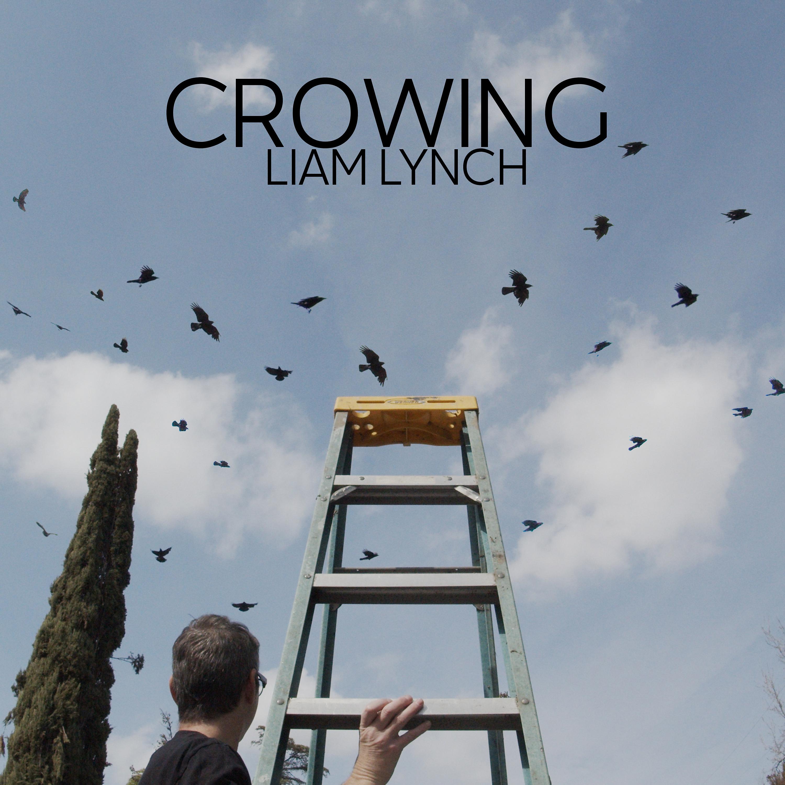 Постер альбома Crowing