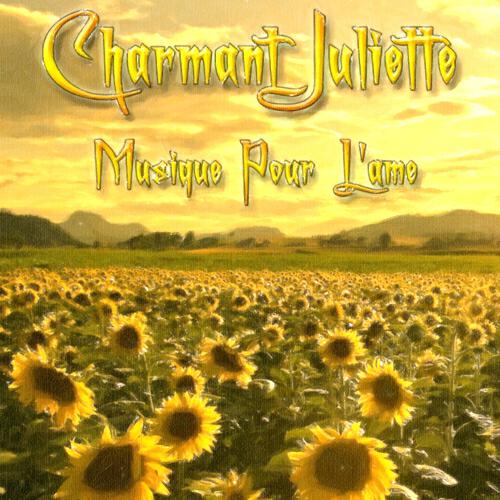 Charmant Juliette - Un de ces beaux jours (Microbit Project Electro Remix)