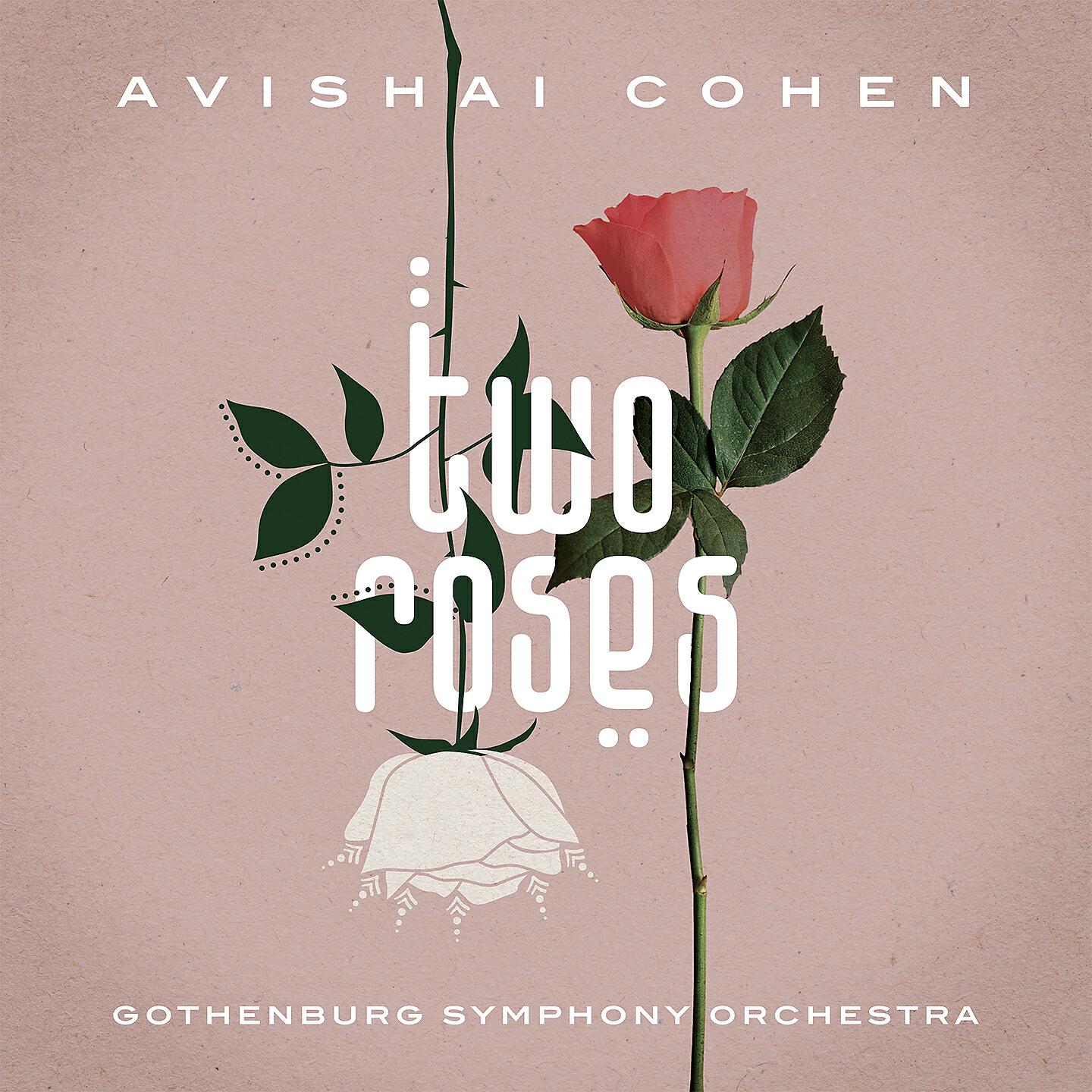 Avishai Cohen - Alon Basela
