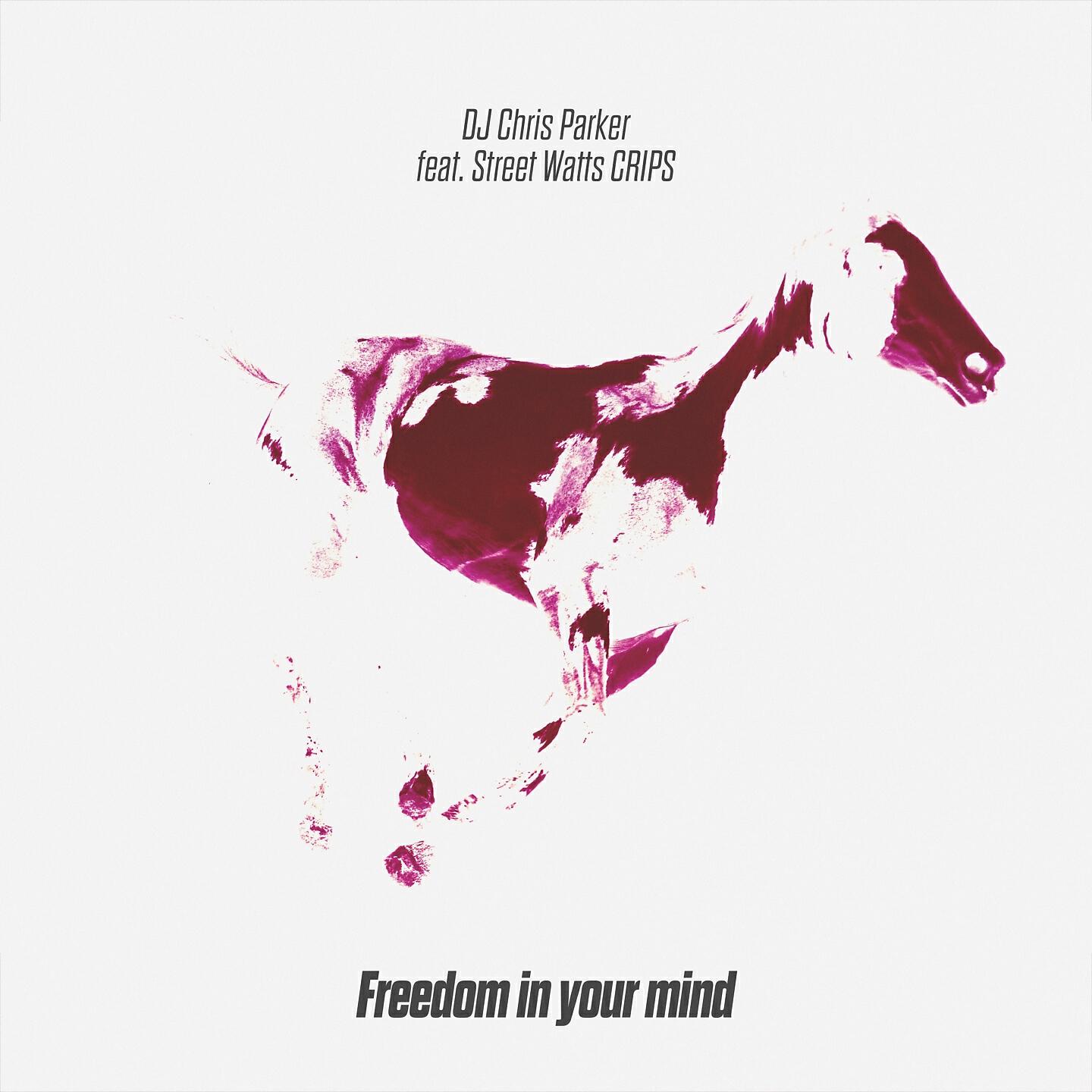 DJ Chris Parker - Freedom in Your Mind