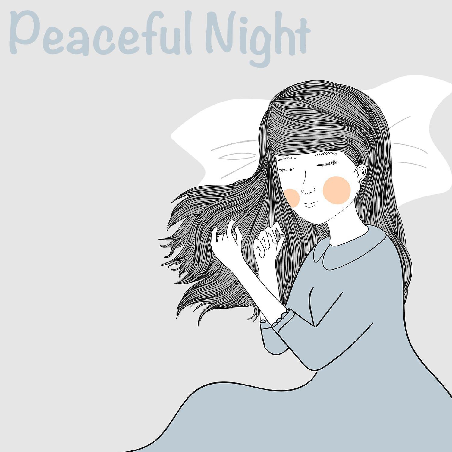 Постер альбома Peaceful Night