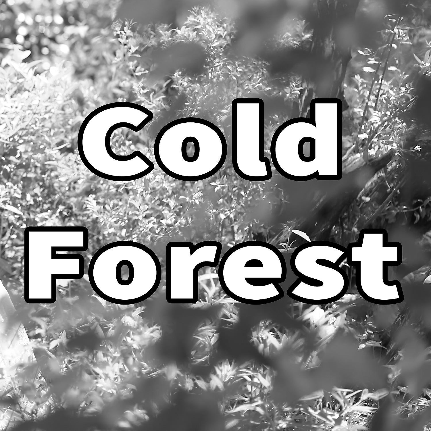 Постер альбома Cold Forest