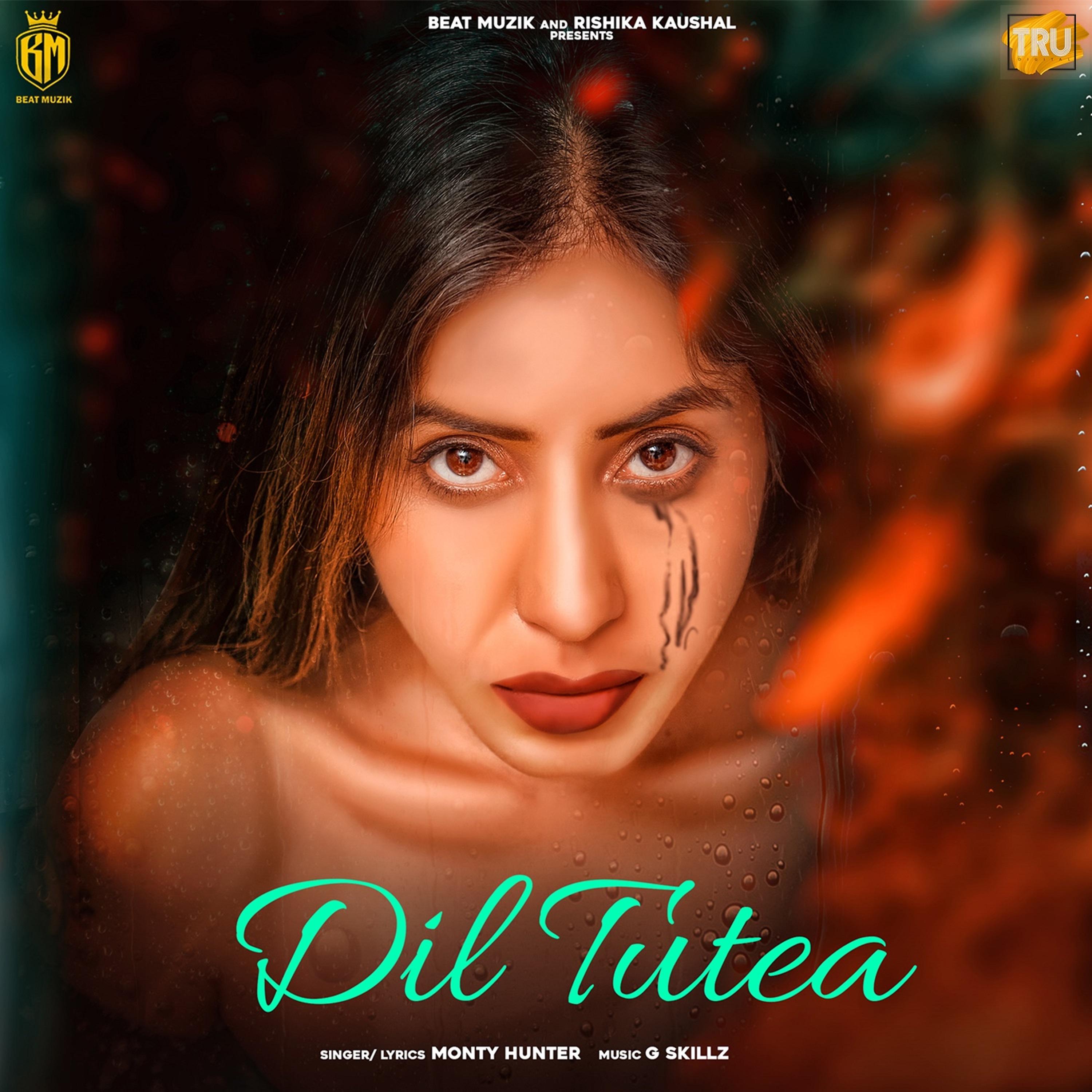 Постер альбома Dil Tutea