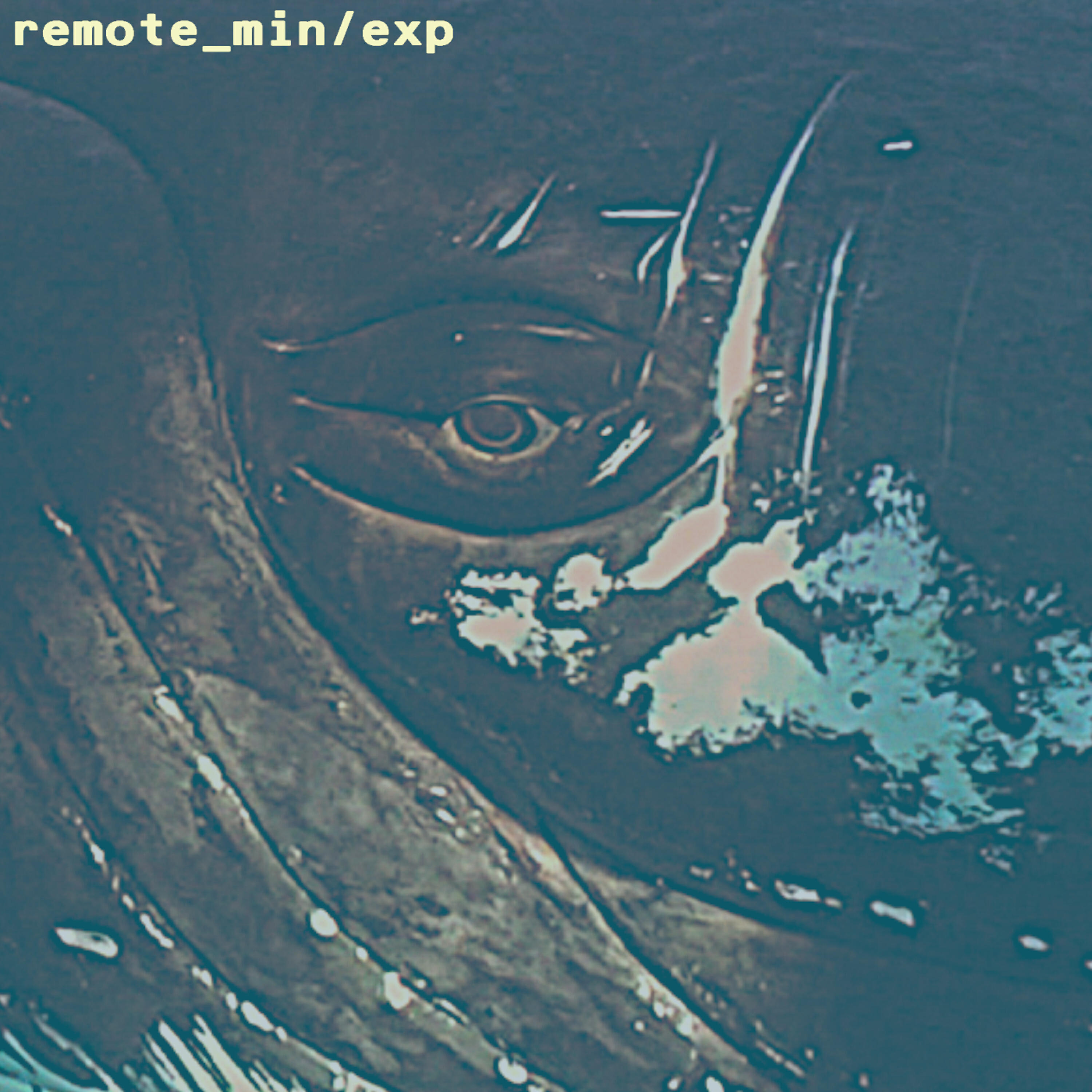 Remote_Min - Complice Intruso