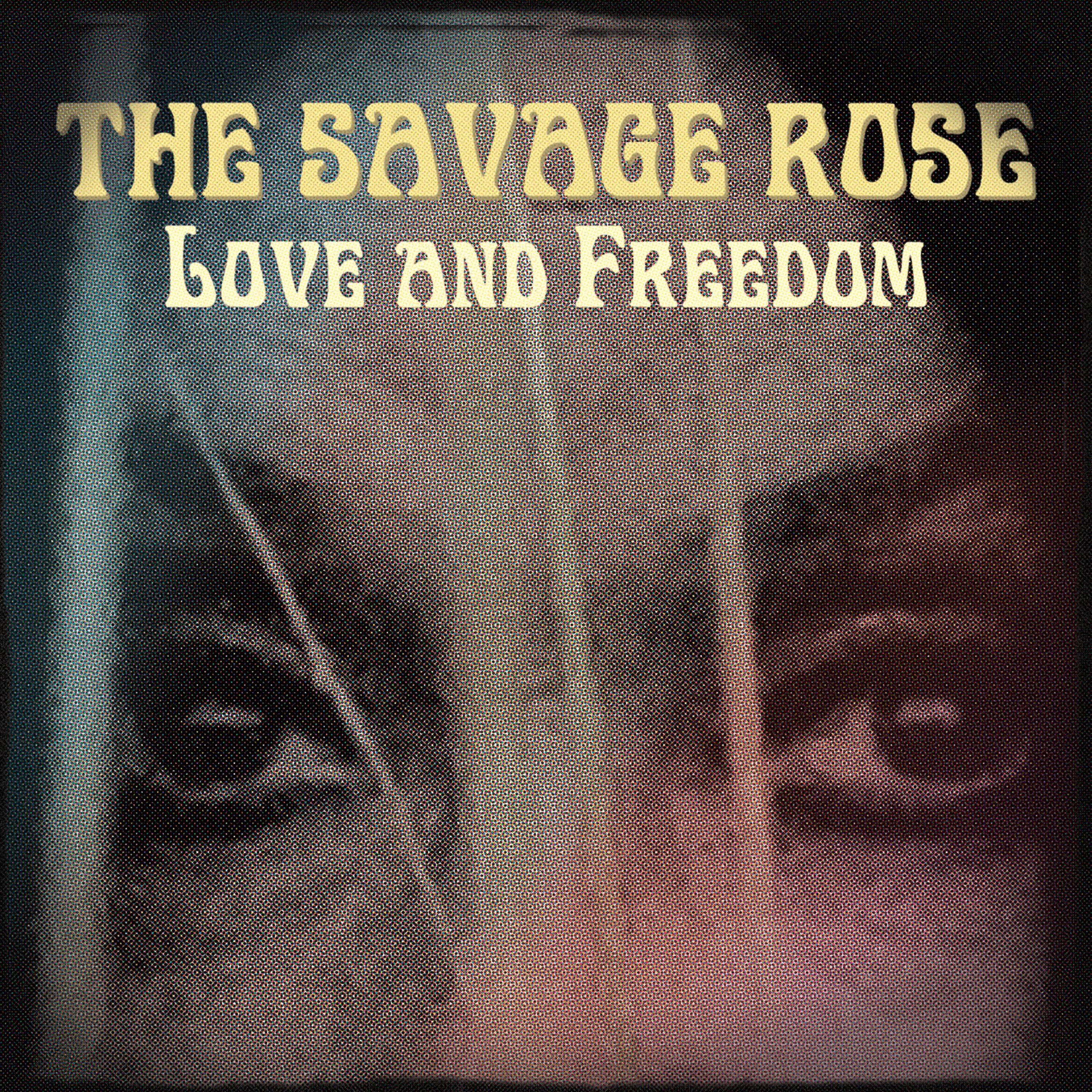 Постер альбома Love and Freedom