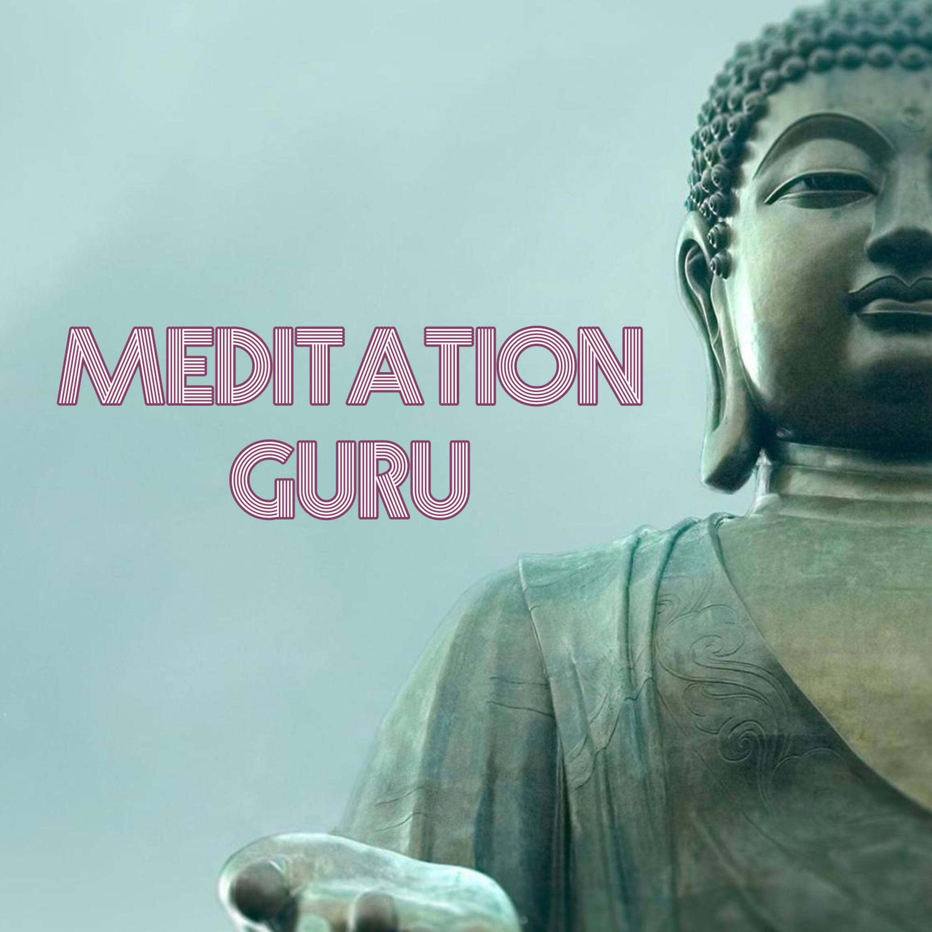 Постер альбома Meditation Guru