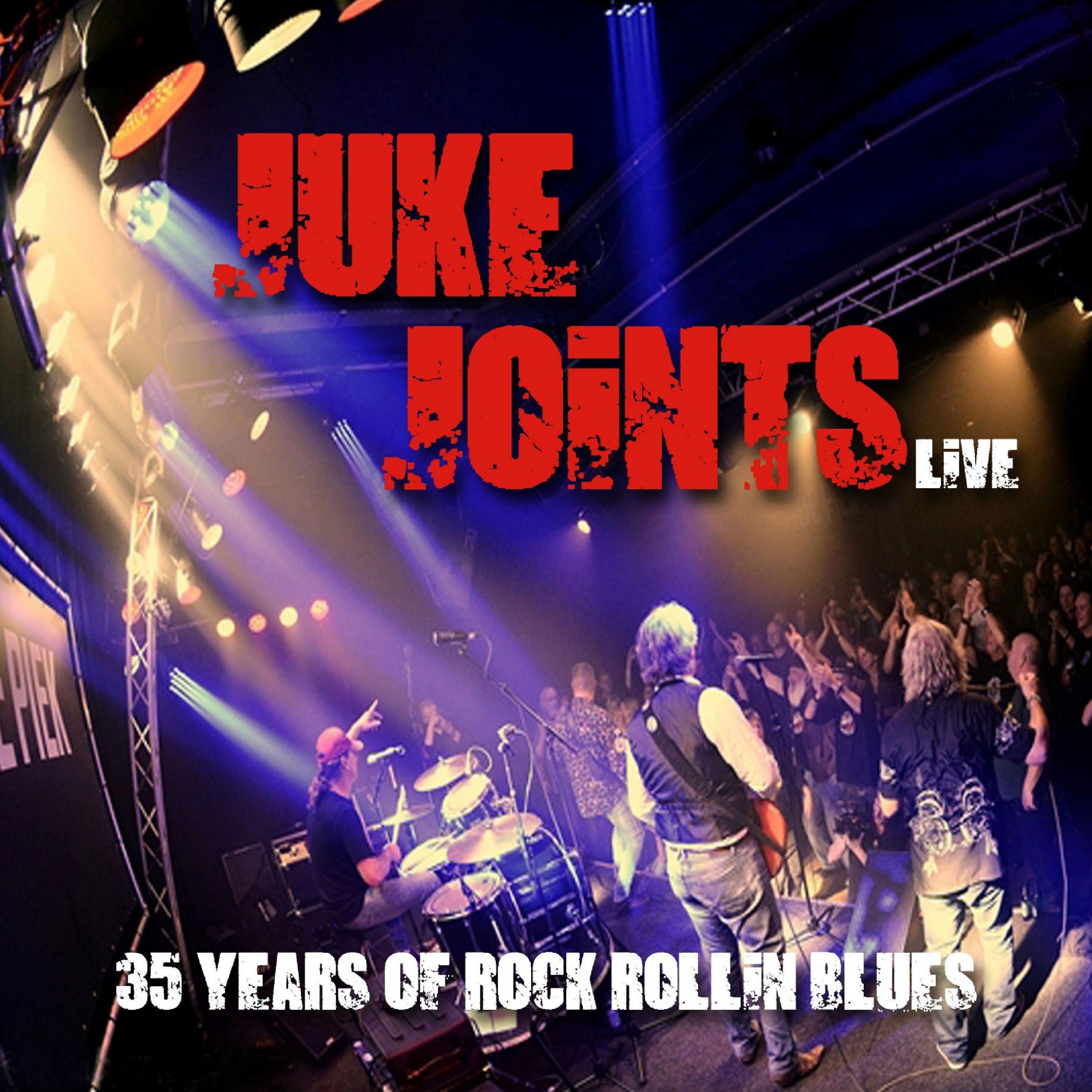 Постер альбома 35 Years of Rock Rollin Blues (Live)
