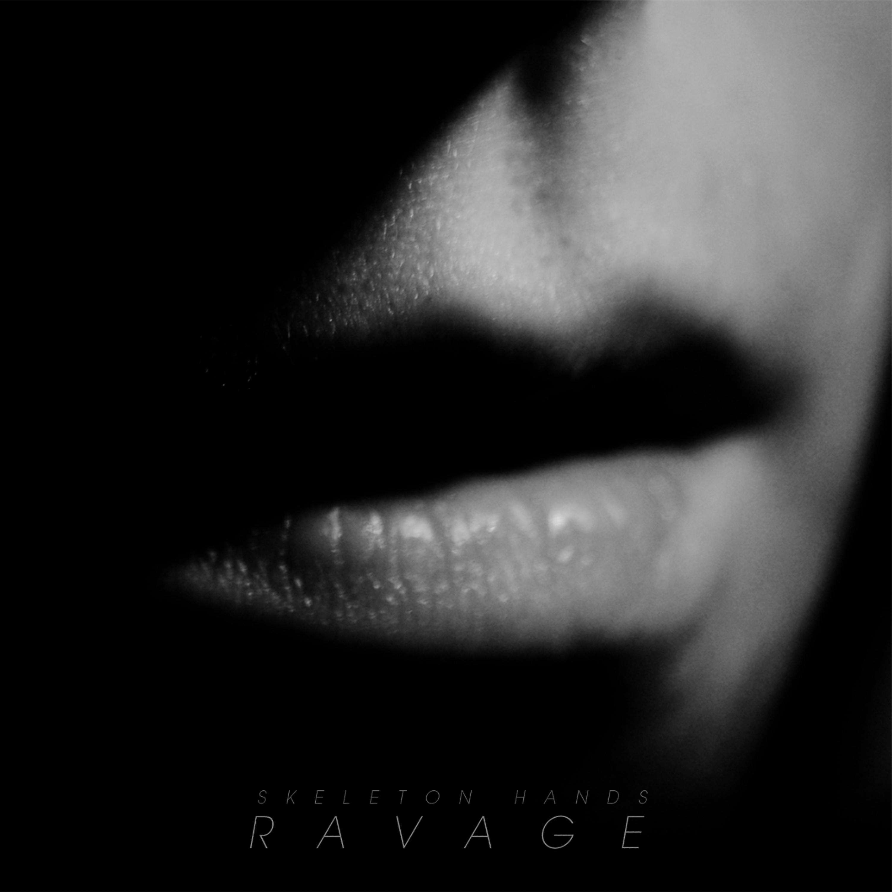 Постер альбома Ravage
