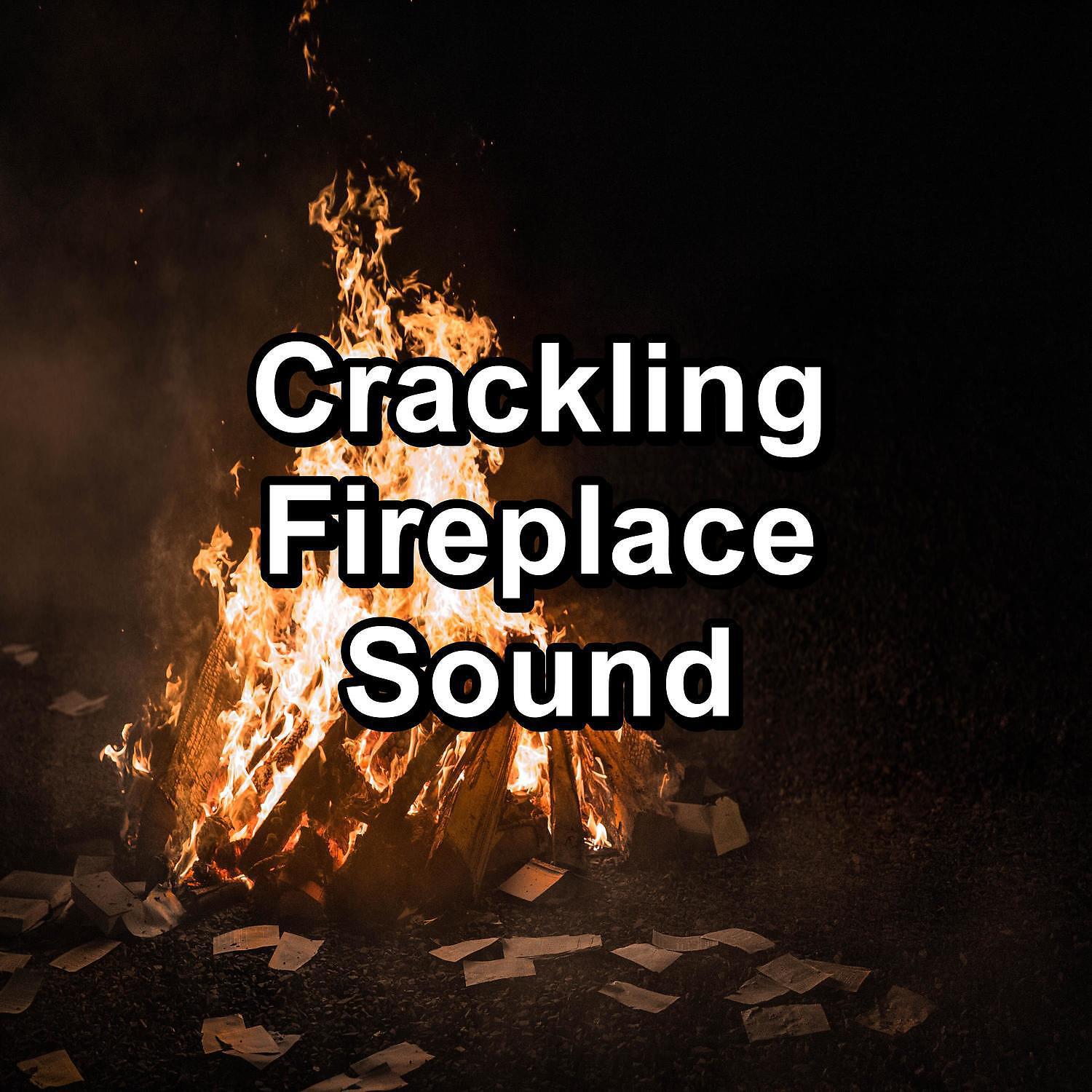 Christmas Hits - Fire Place Sounds in the Forest For Infants