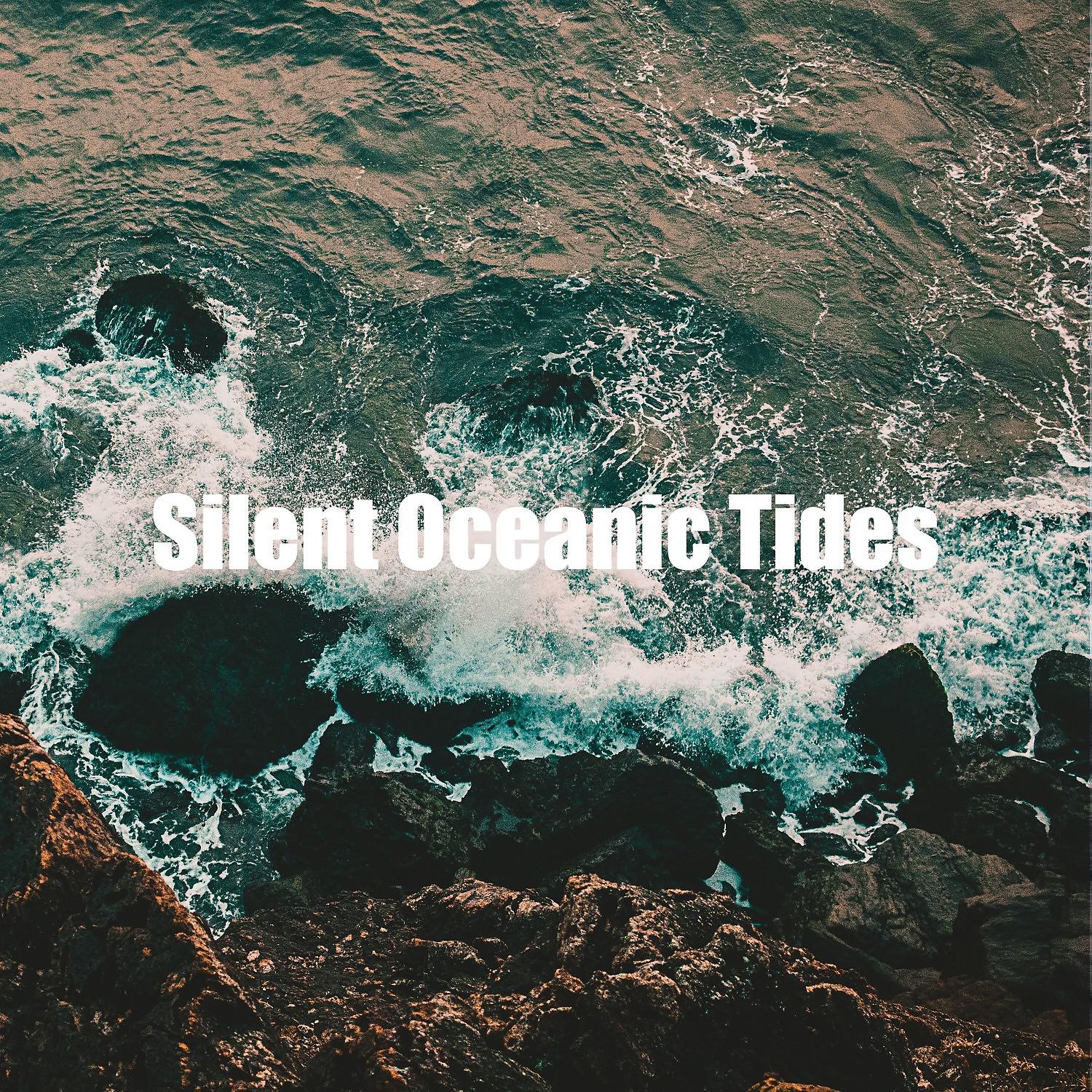 Постер альбома Silent Oceanic Tides