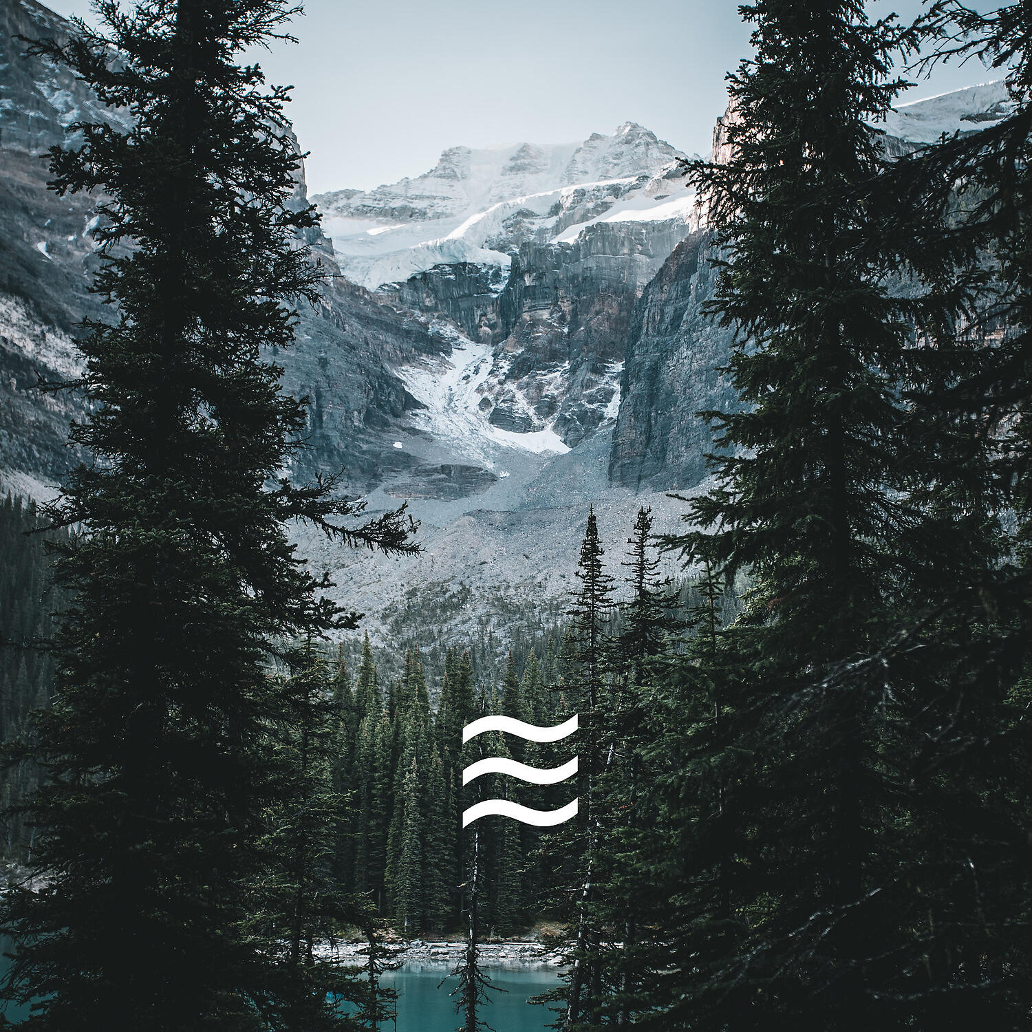 Relaxation Ambient of Forest and Birds Noises - Calmful Forest Nature Soughs