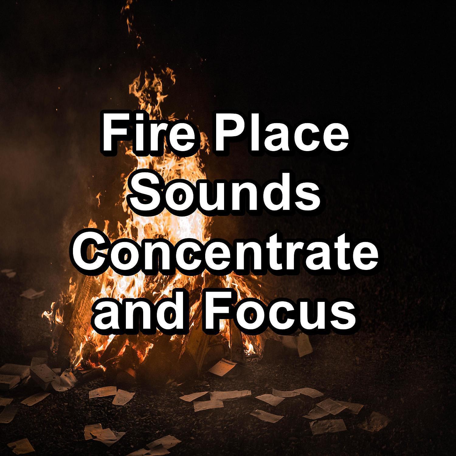 Campfire Sounds - Fire To Have a Cozy Night To Repeat for 8 Hours