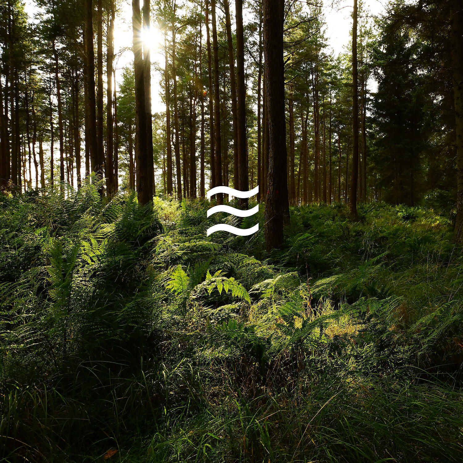 Sounds for Home Office Relax - Relaxing Home Office Nature