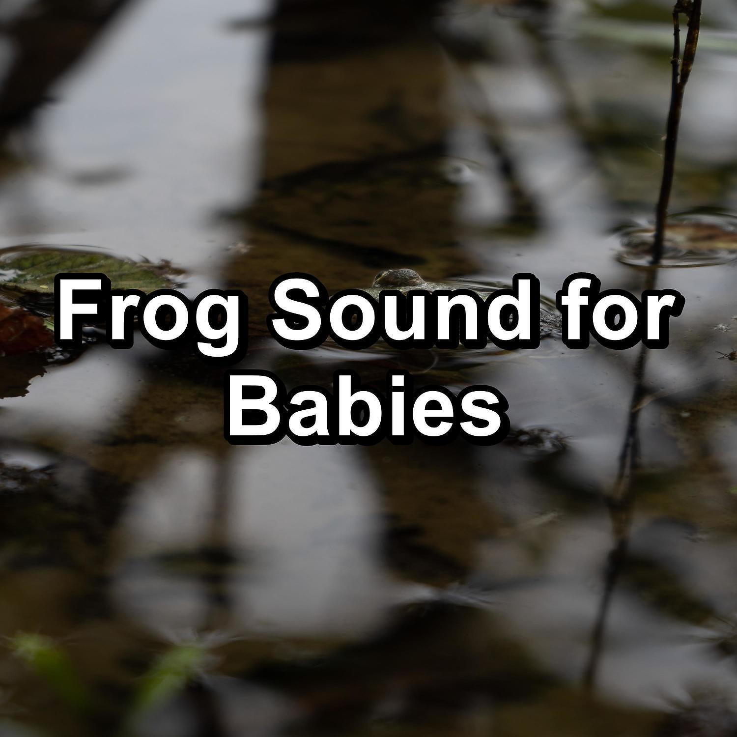 Постер альбома Frog Sound for Babies