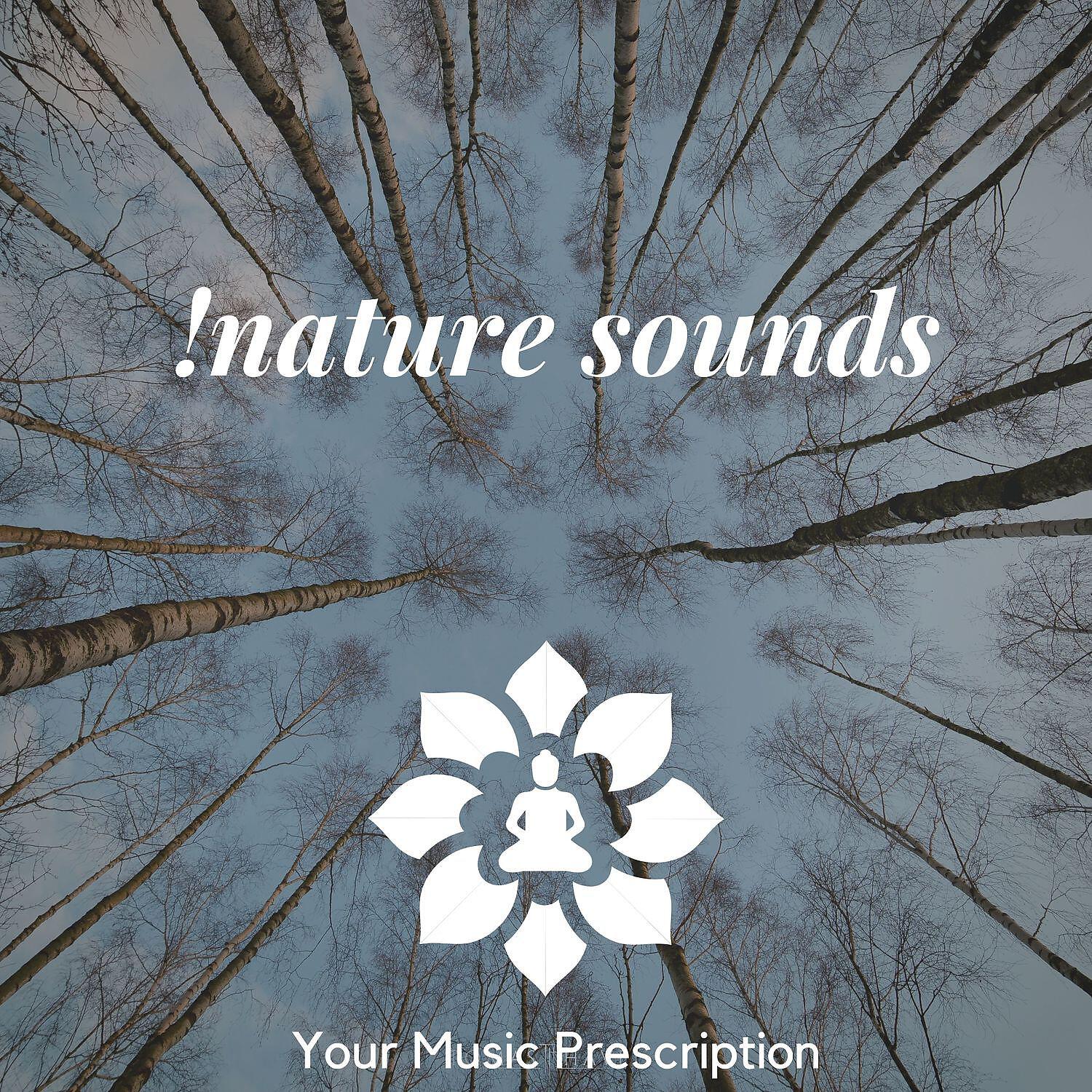 Your Music Prescription - Brainwave Therapy