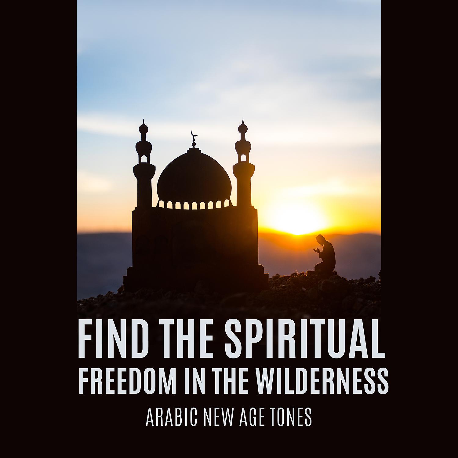 Постер альбома Find the Spiritual Freedom in the Wilderness - Arabic New Age Tones