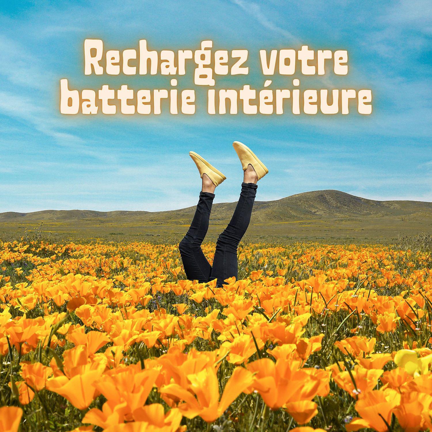 Oasis de Musique Nature Relaxante - Musique instrumentale de guérison