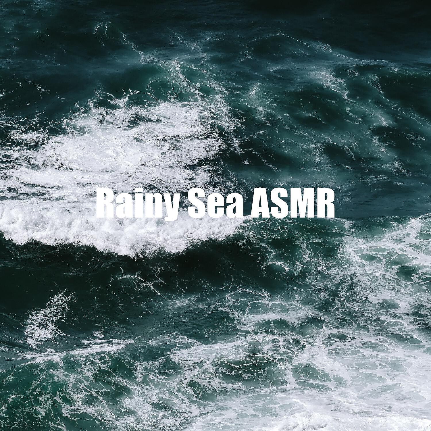 Calm Weather Factory - Calm Watery Beach