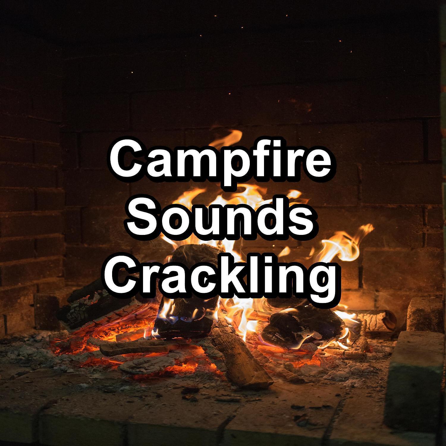 Nature and Rain - Fire Crackling Sounds on the Beach Christmas Fireplace