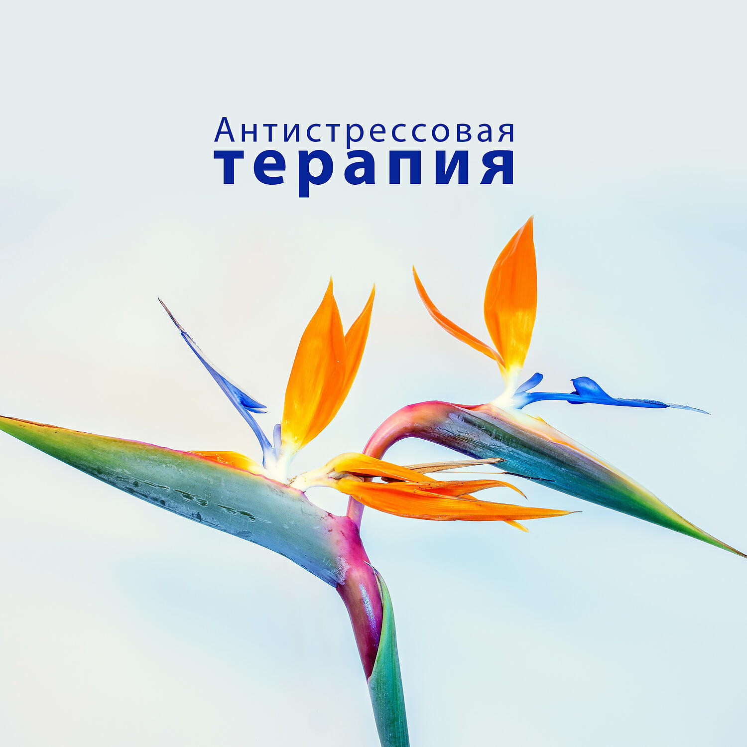 Духовная Медитация Aкадемия - Тибетская инструментальная музыка