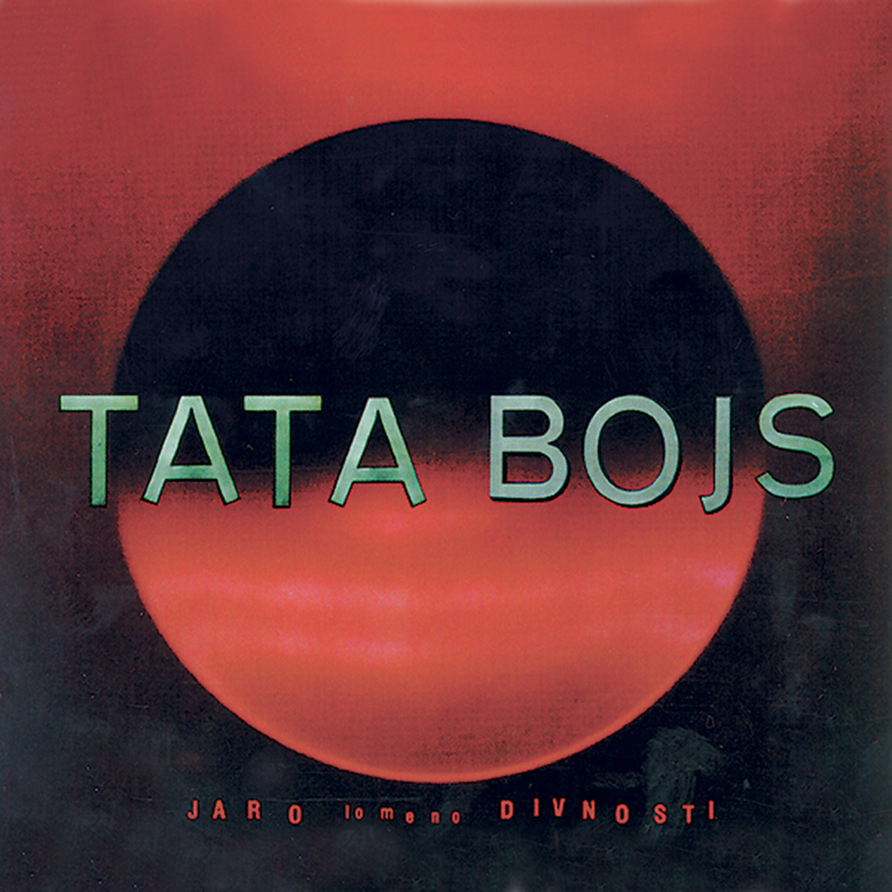 Tata Bojs - Jaro (Bird Cat Caruso & Ondra Ježek Remix)