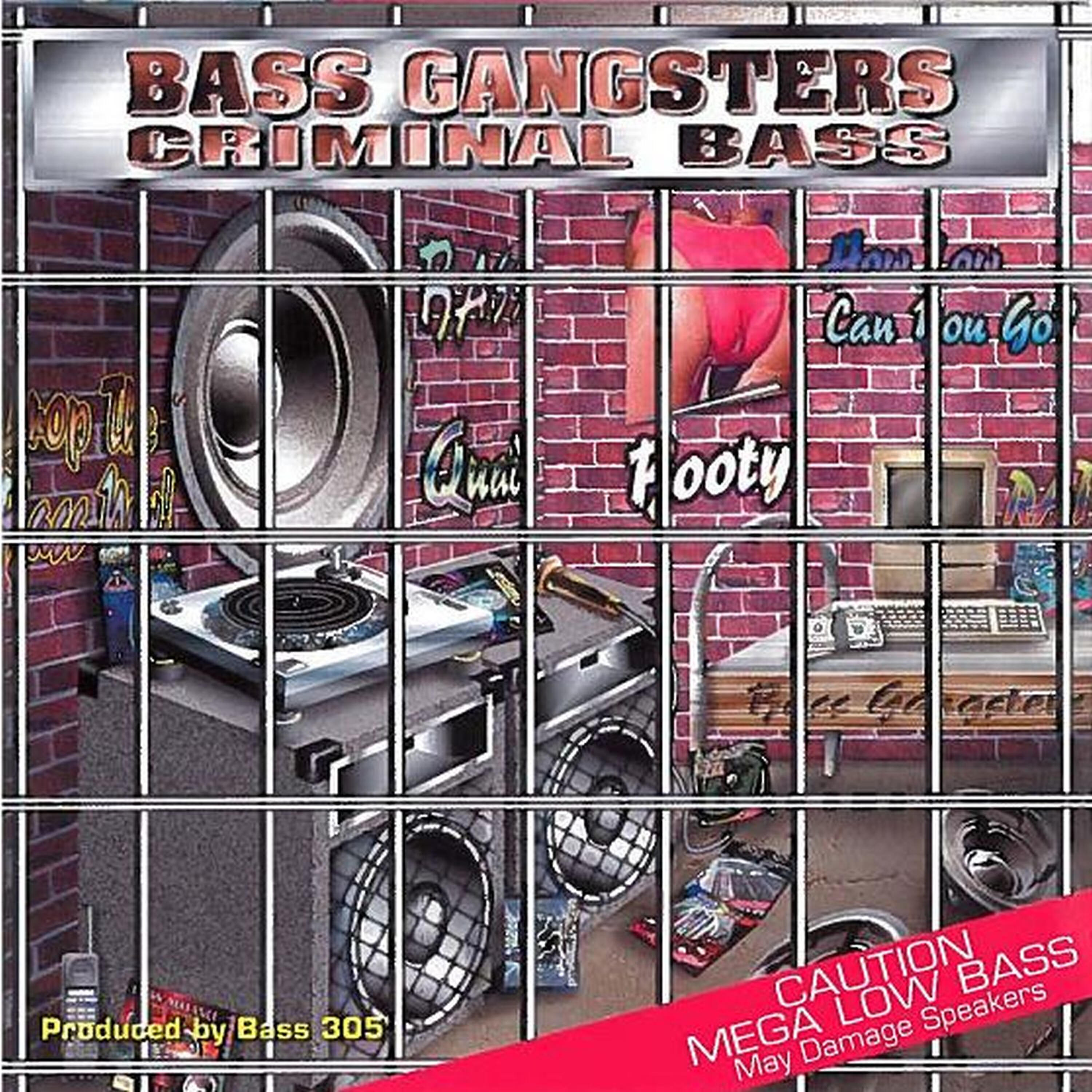 Bass Gangsters - Here Comes the Boom!!! (305 Db Version)