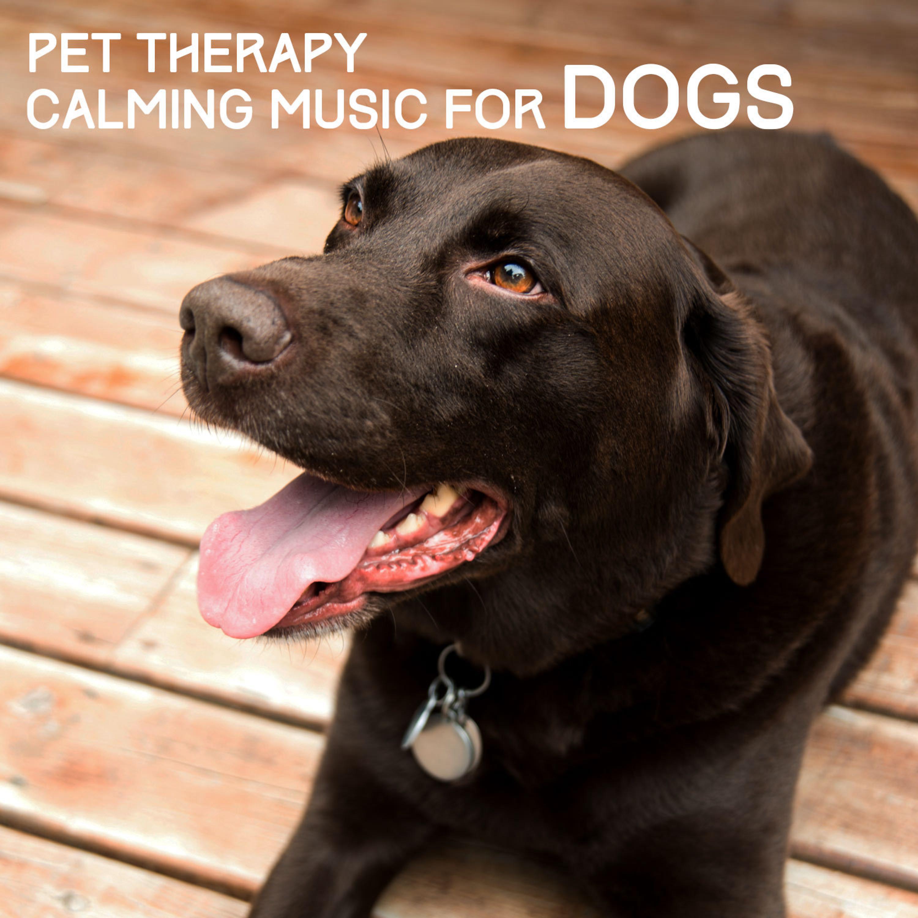Постер альбома Pet Therapy - Calming Music for Dogs