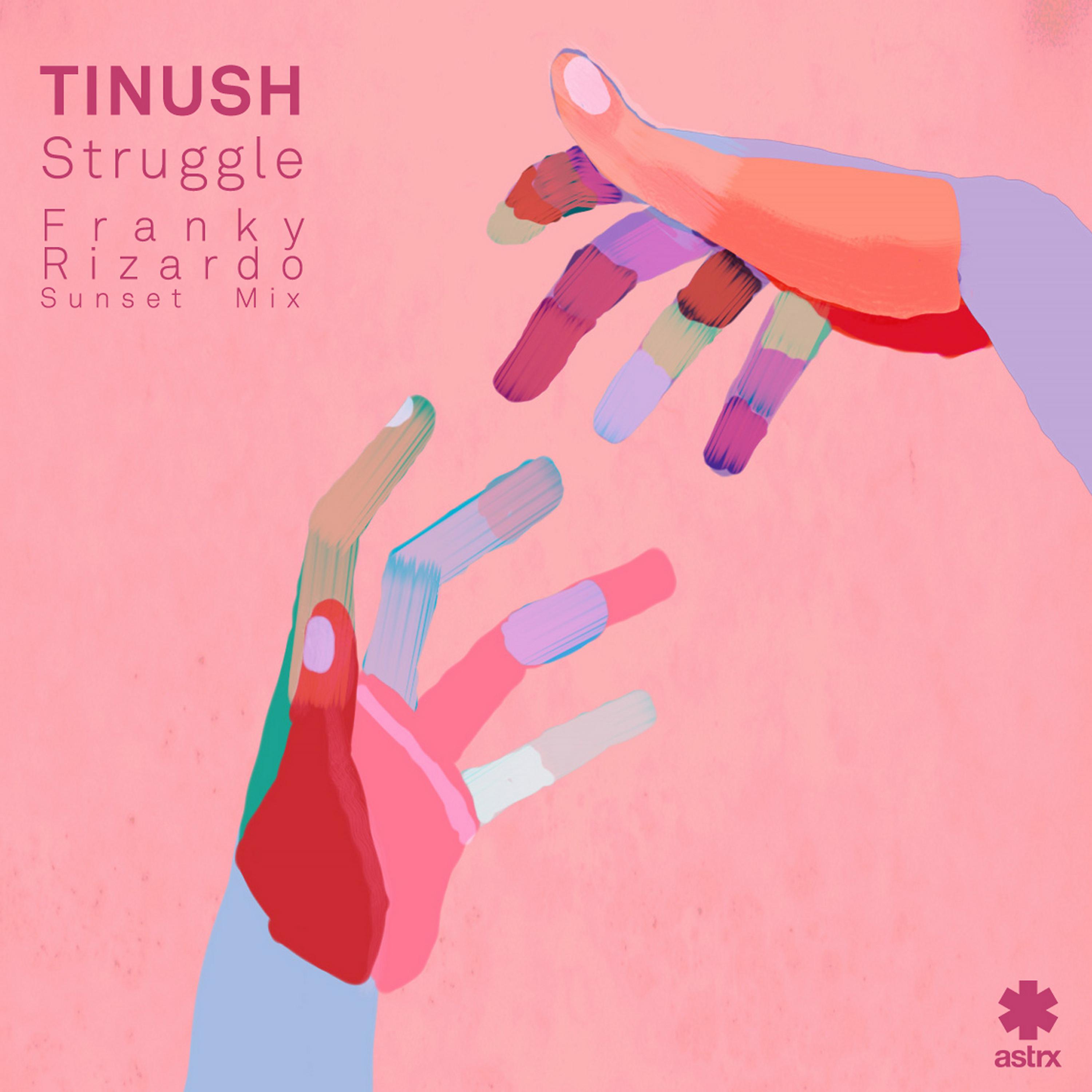 Постер альбома Struggle (Franky Rizardo Sunset Mix)