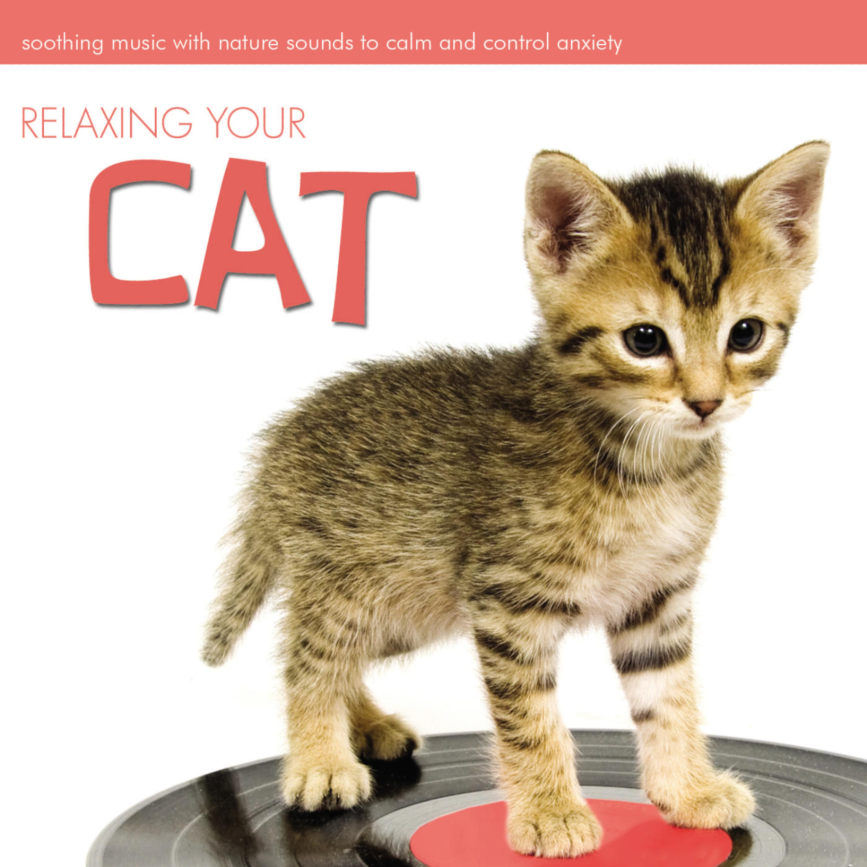 Постер альбома Relaxing Your Cat