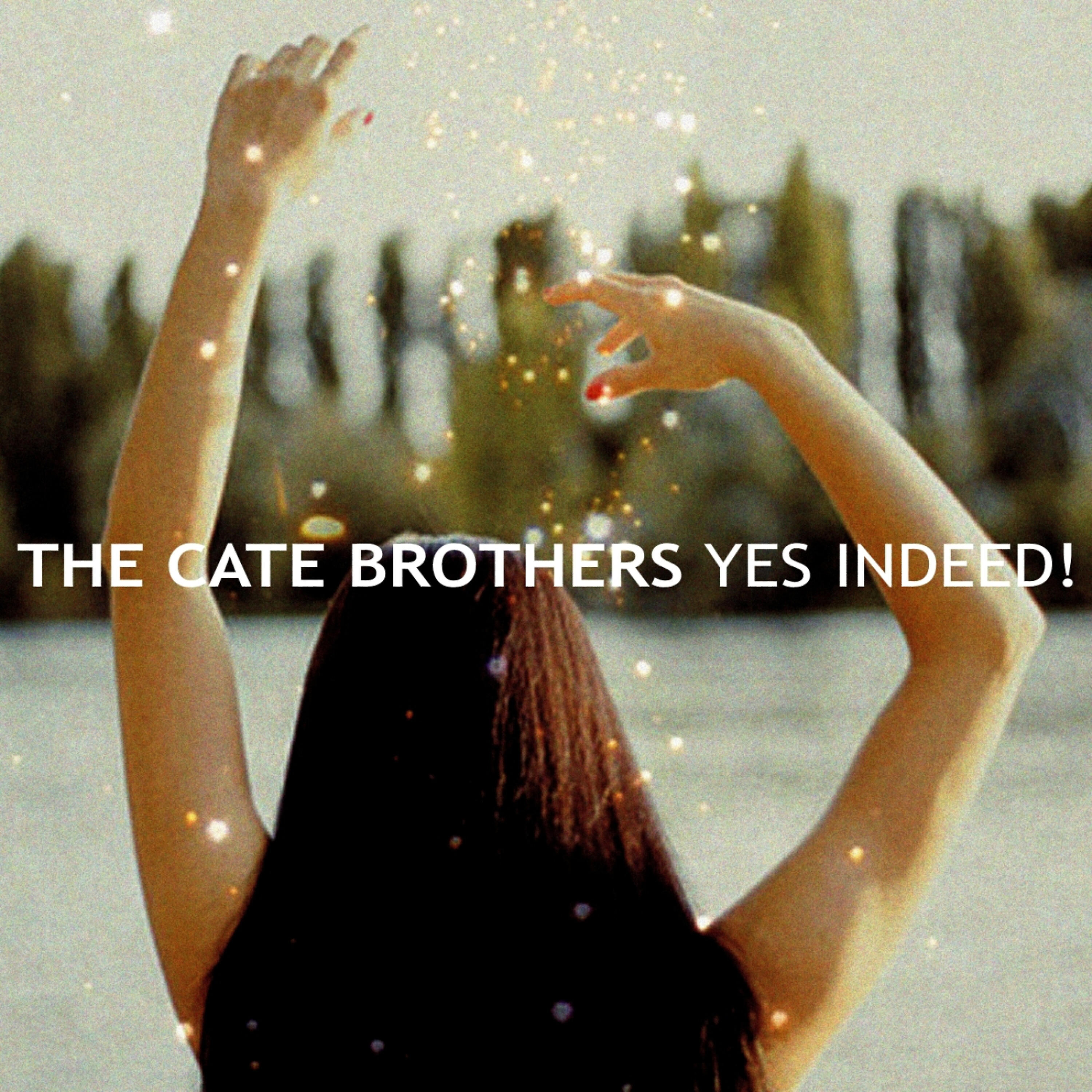 The Cate Brothers - Soft Tears