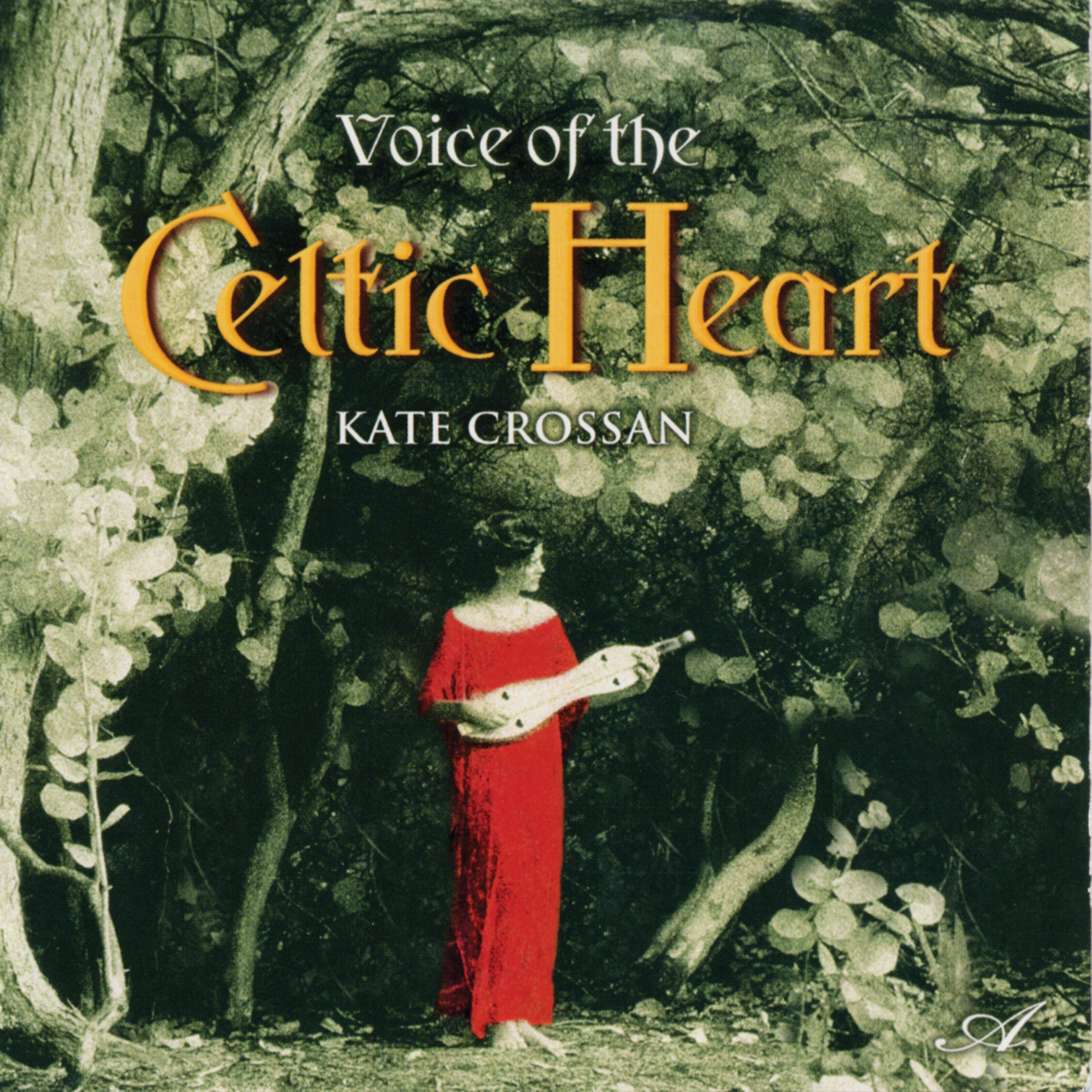 Постер альбома Voice of the Celtic Heart