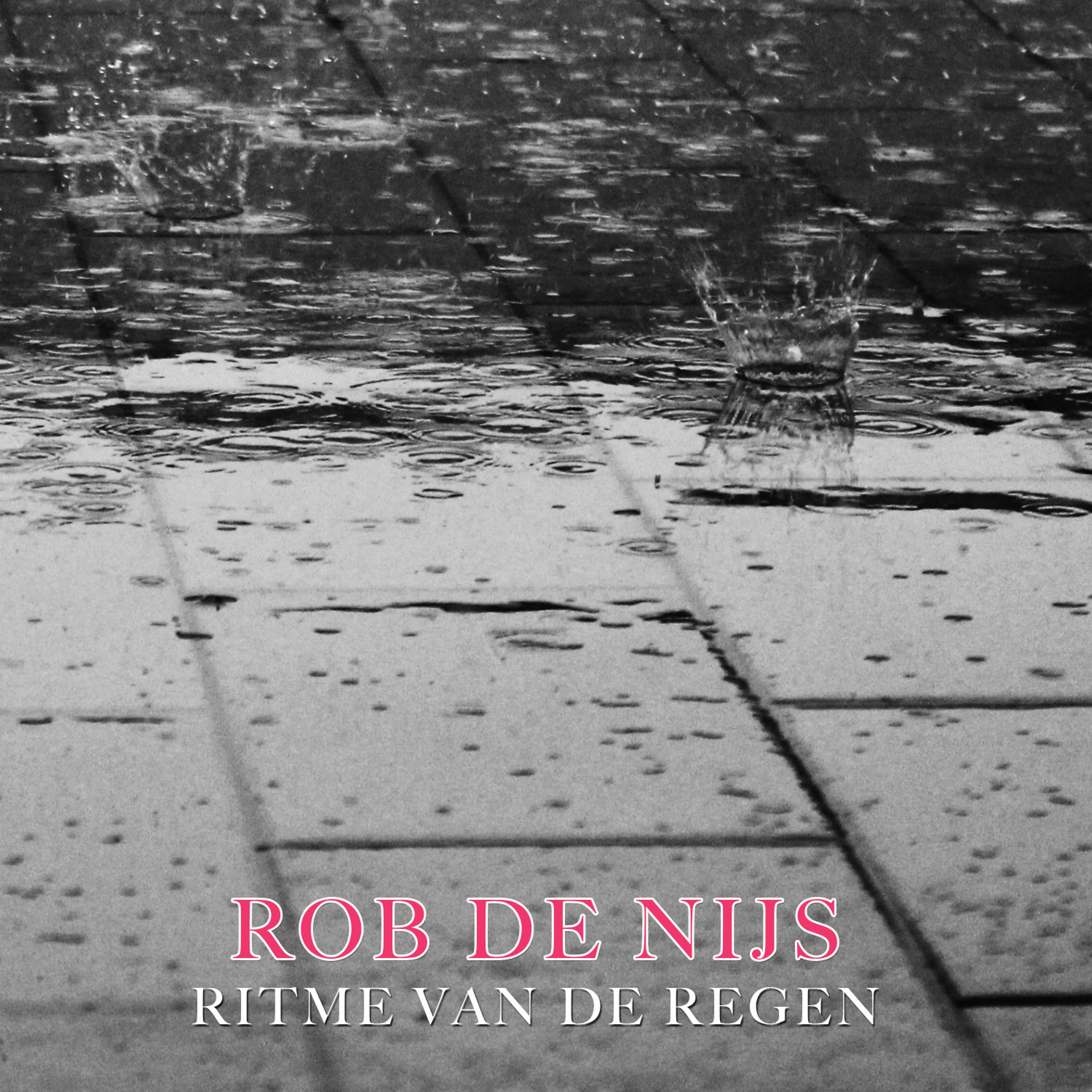 Постер альбома Ritme van de regen