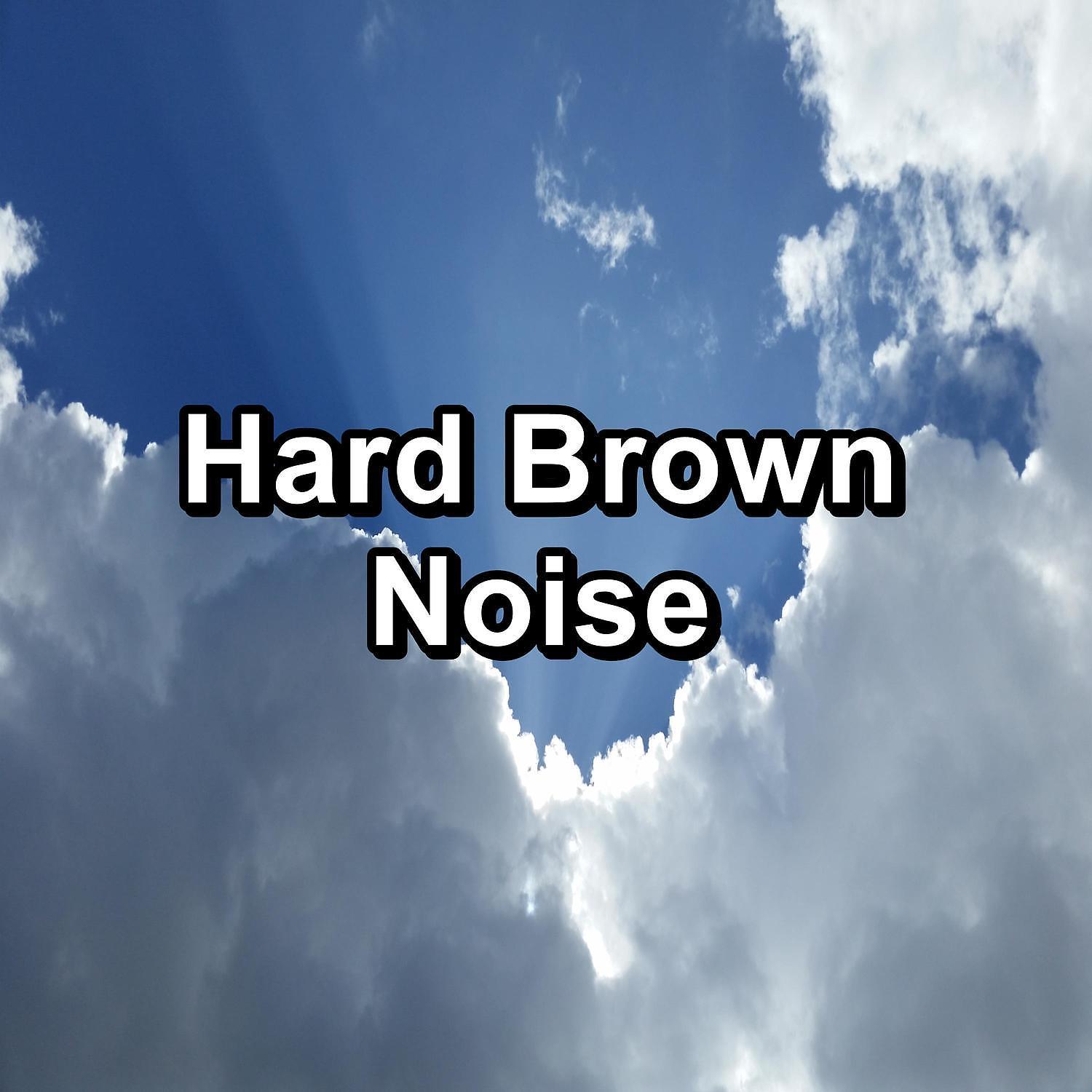 Постер альбома Hard Brown Noise