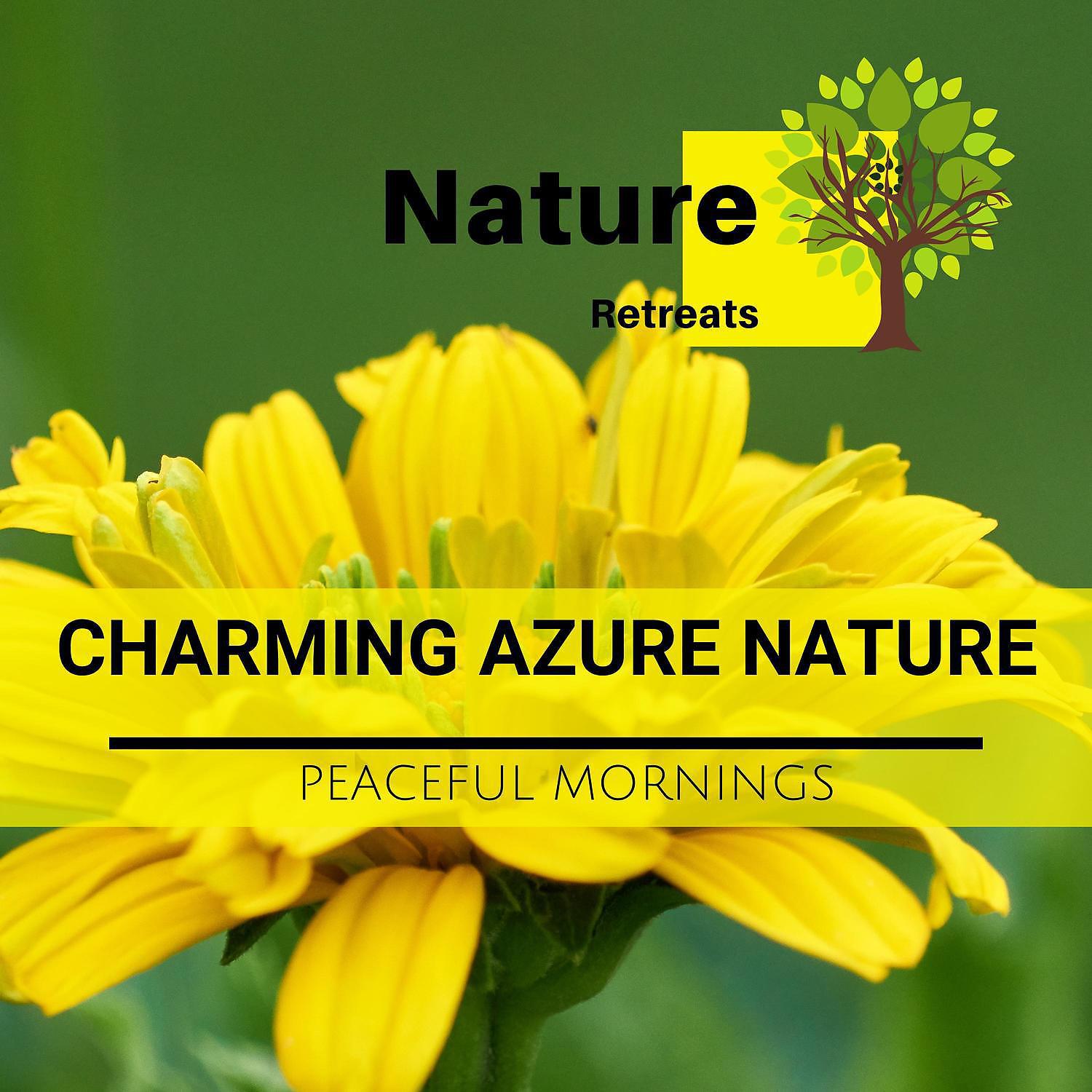 Постер альбома Charming Azure Nature - Peaceful Mornings