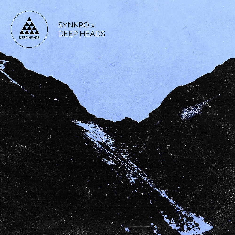 Ash Walker - Blue Veins (Synkro Remix)