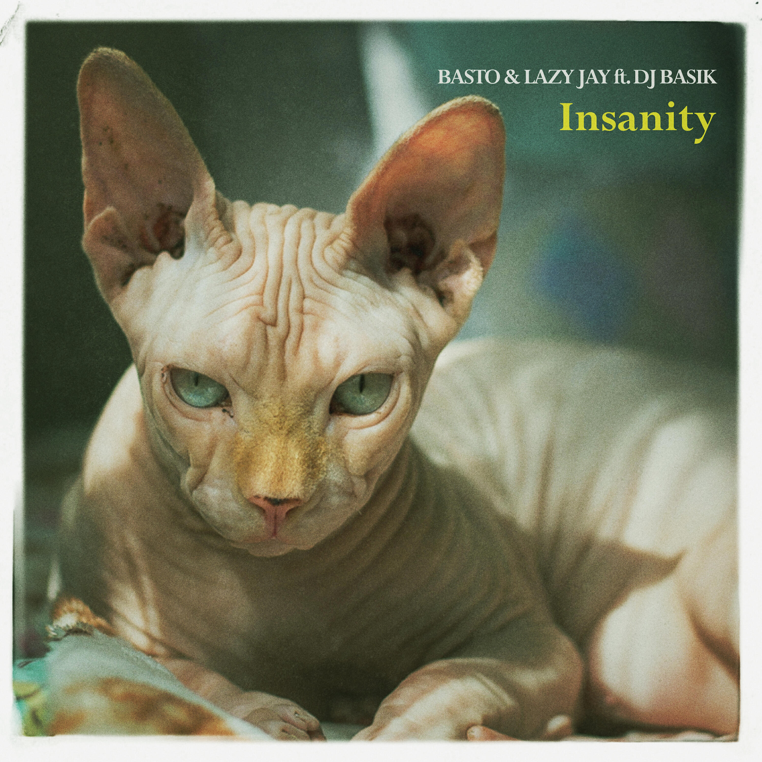 DJ Basik - Insanity