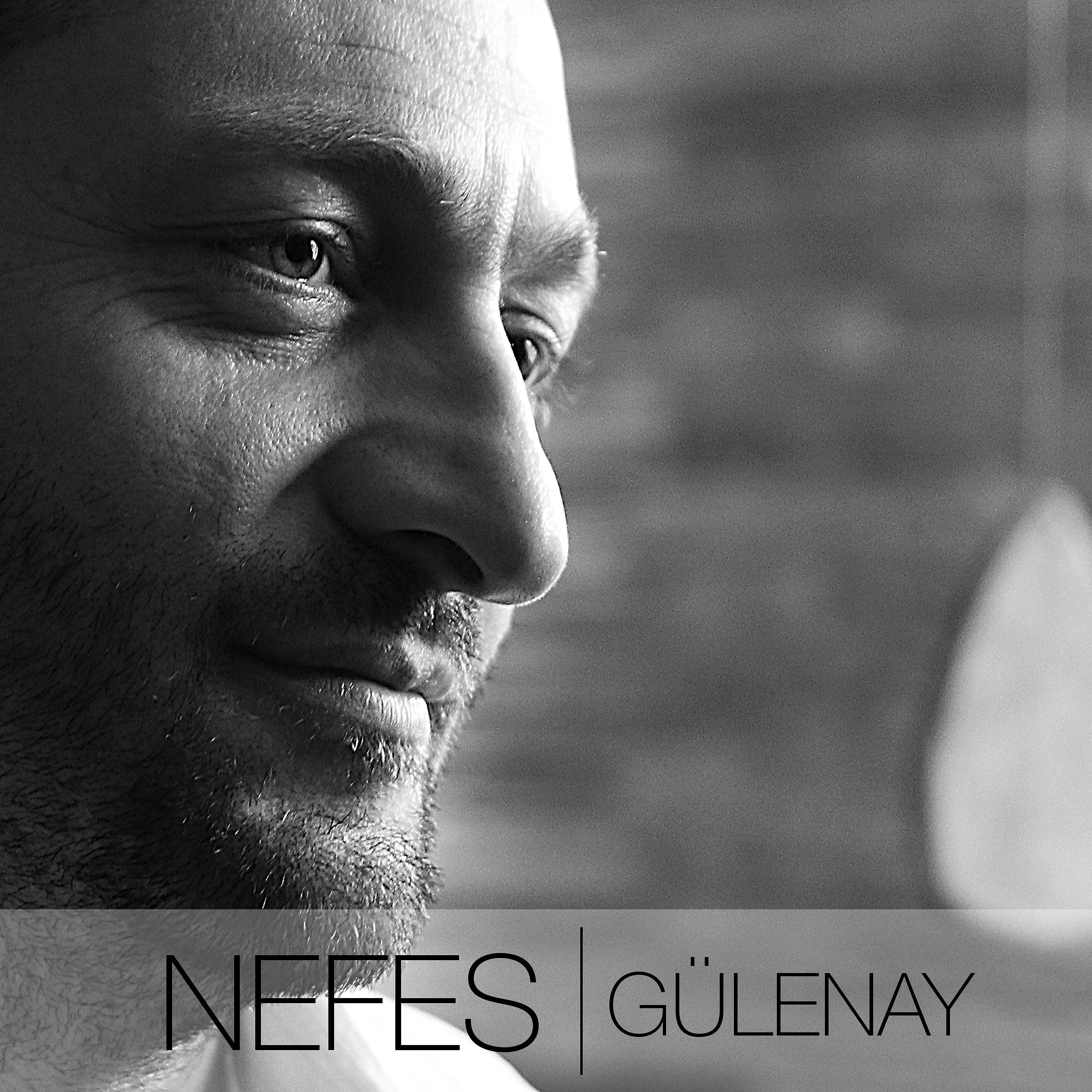 Постер альбома Gülenay
