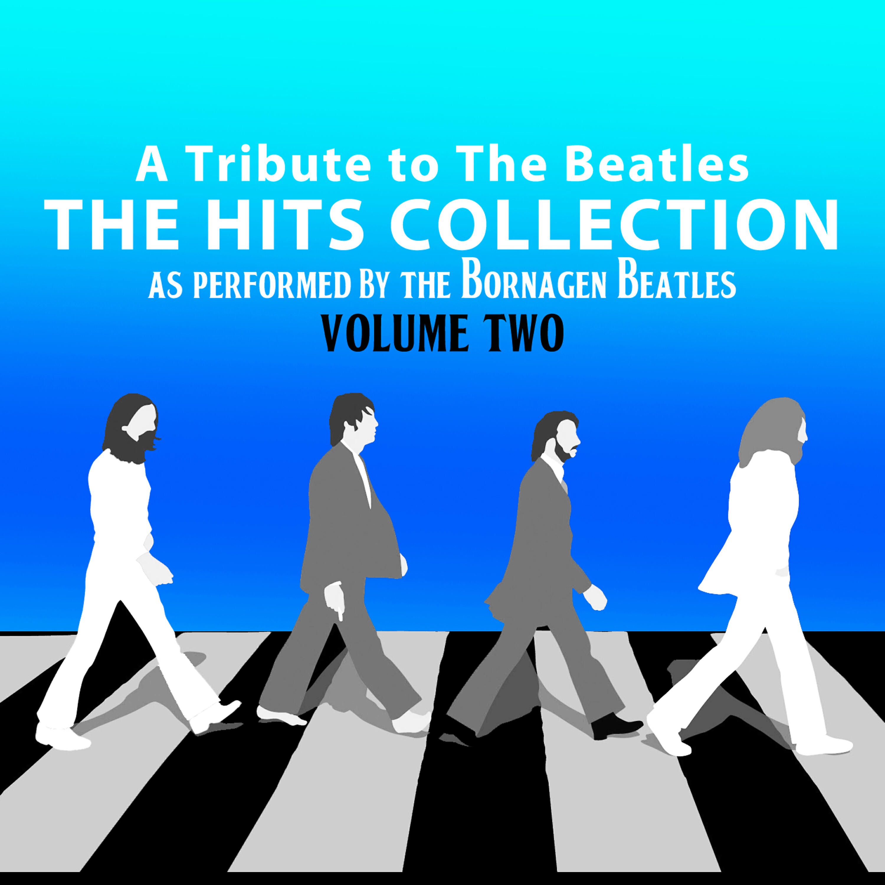 Постер альбома A Tribute to the Beatles: The Hits Collection, Vol. 2