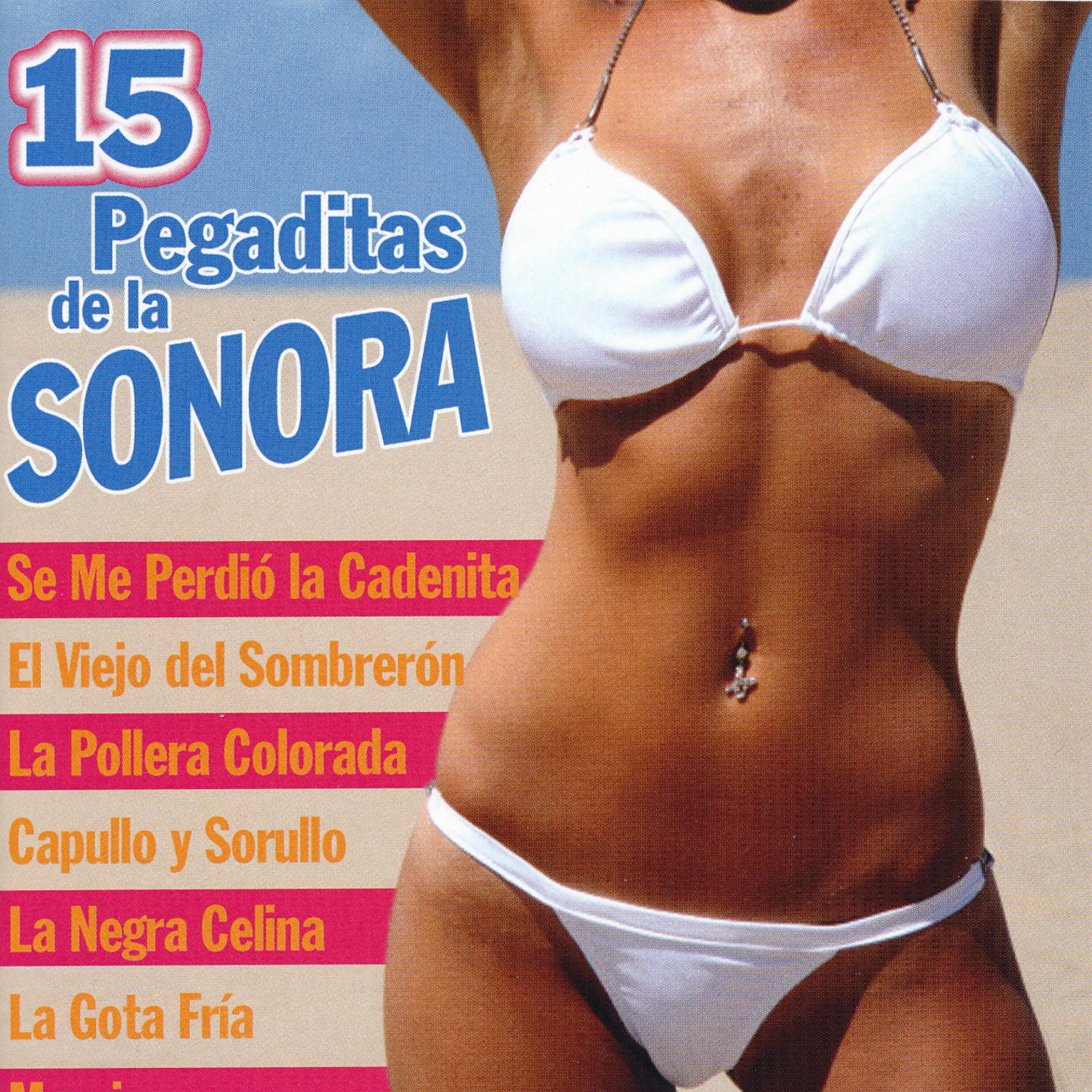 Постер альбома 15 Pegaditas de la Sonora