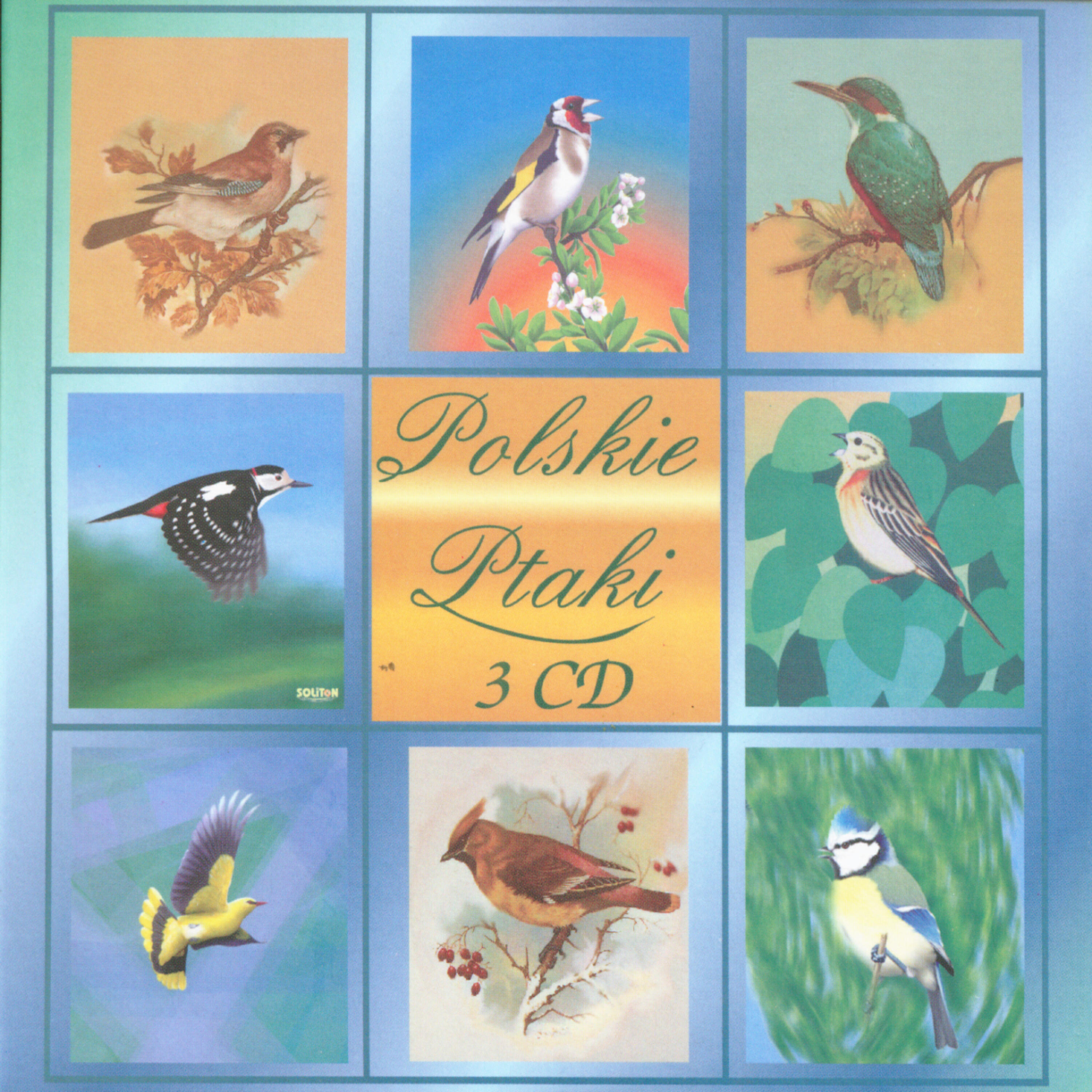 Polskie Ptaki - Morning birds call