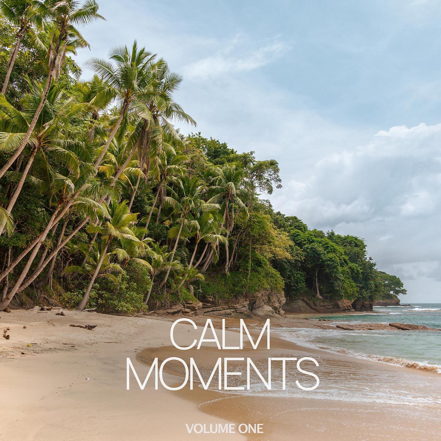 Постер альбома Calm Moments, Vol. 1