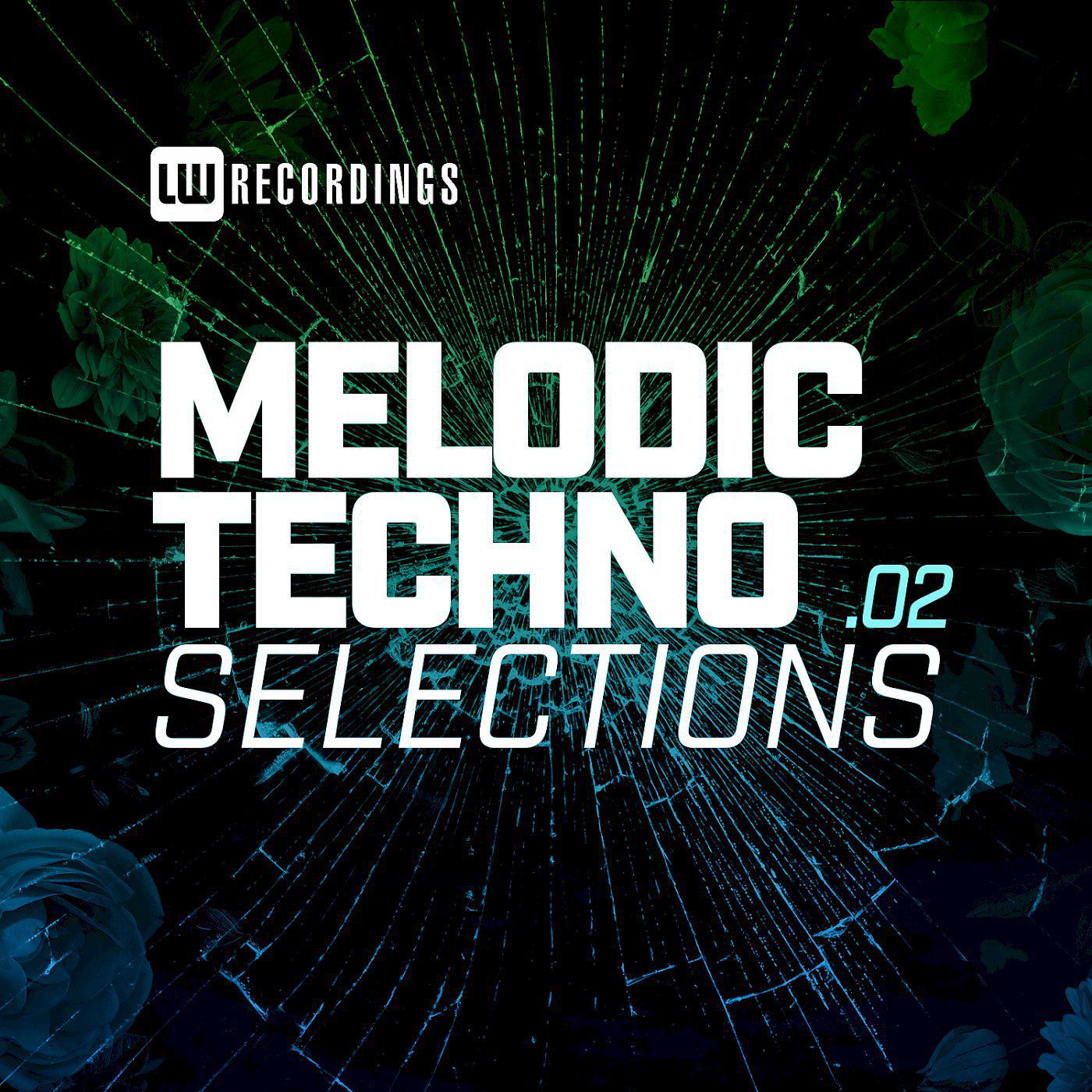 Постер альбома Melodic Techno Selections, Vol. 02