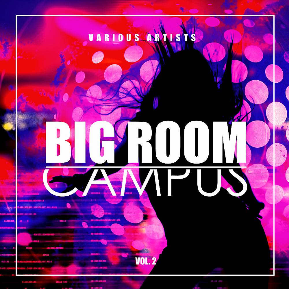 Постер альбома Big Room Campus, Vol. 2