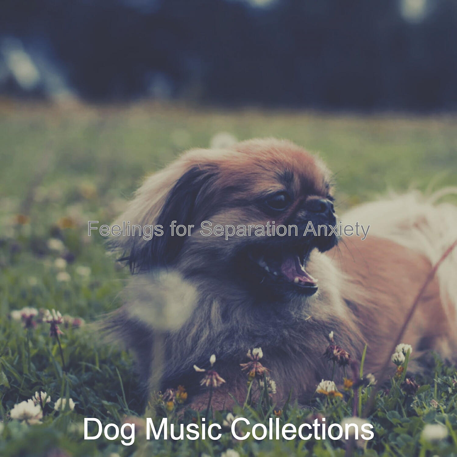 Dog Music Collections - Deluxe Solo Piano Jazz - Vibe for Resting Dogs