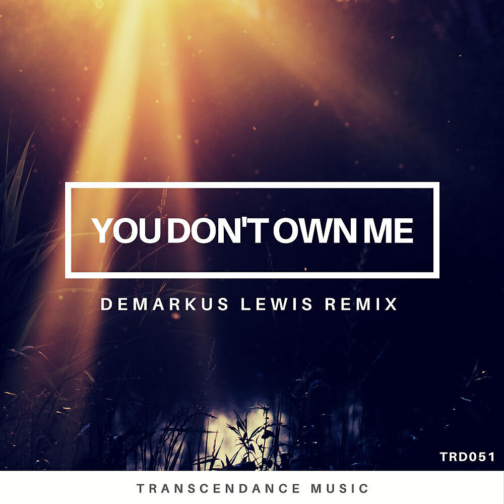 Chenandoah - You Don't Own Me (Demarkus Lewis Dub Remix)