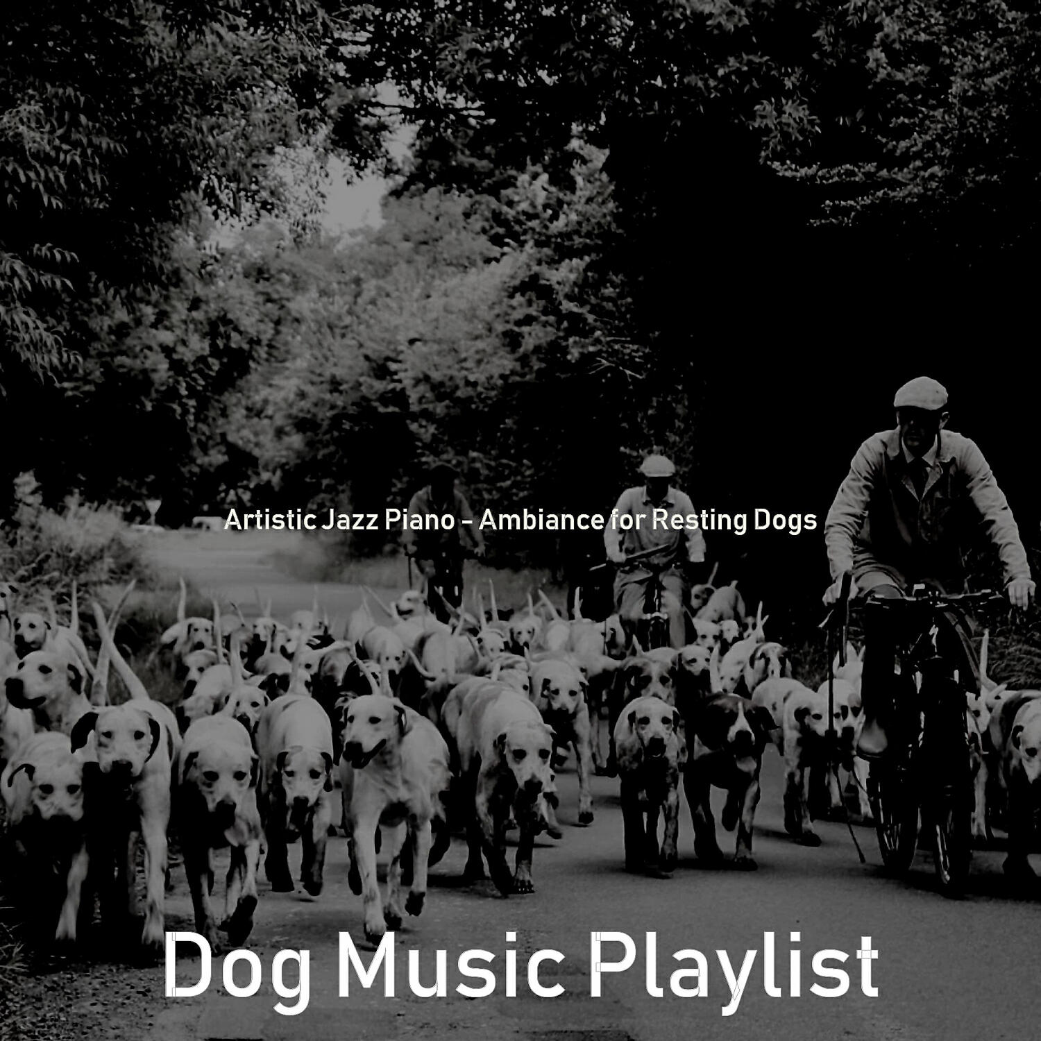 Dog Music Playlist - Cultivated Solo Piano Jazz - Vibe for Cute Dogs