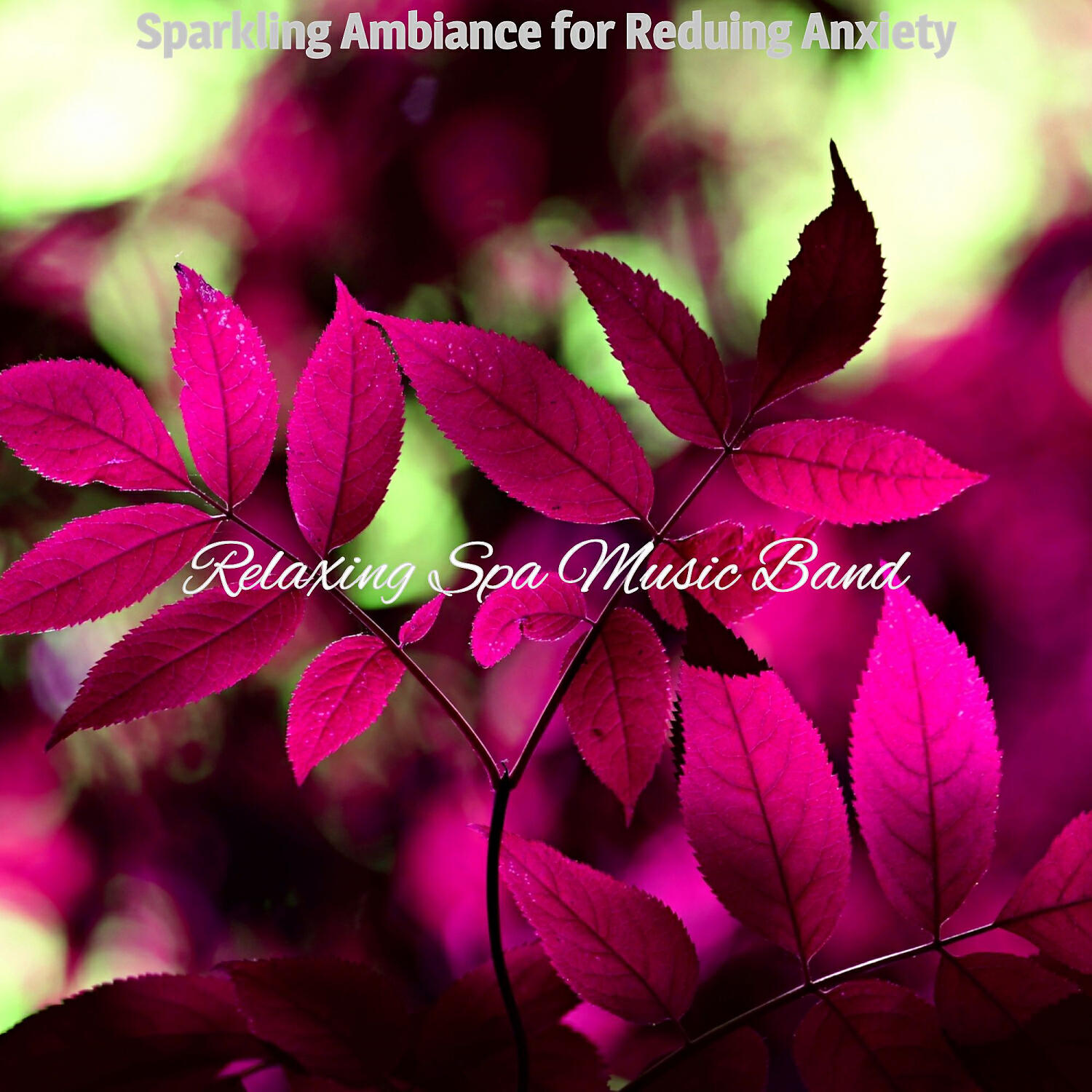 Relaxing Spa Music Band - Carefree Music for Spa Treatments